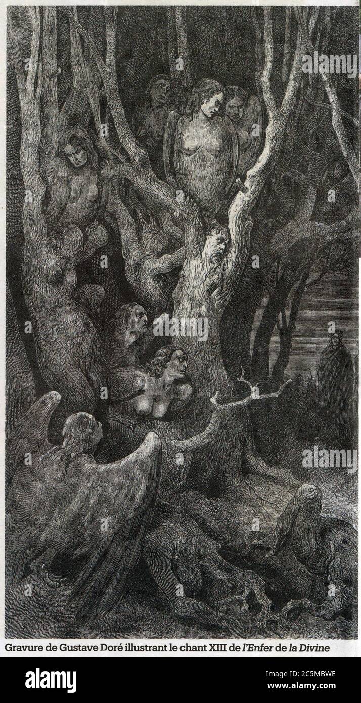 Gravure de Gustave Doré illustrante le chant XIII de l'enfer de la divine Foto Stock