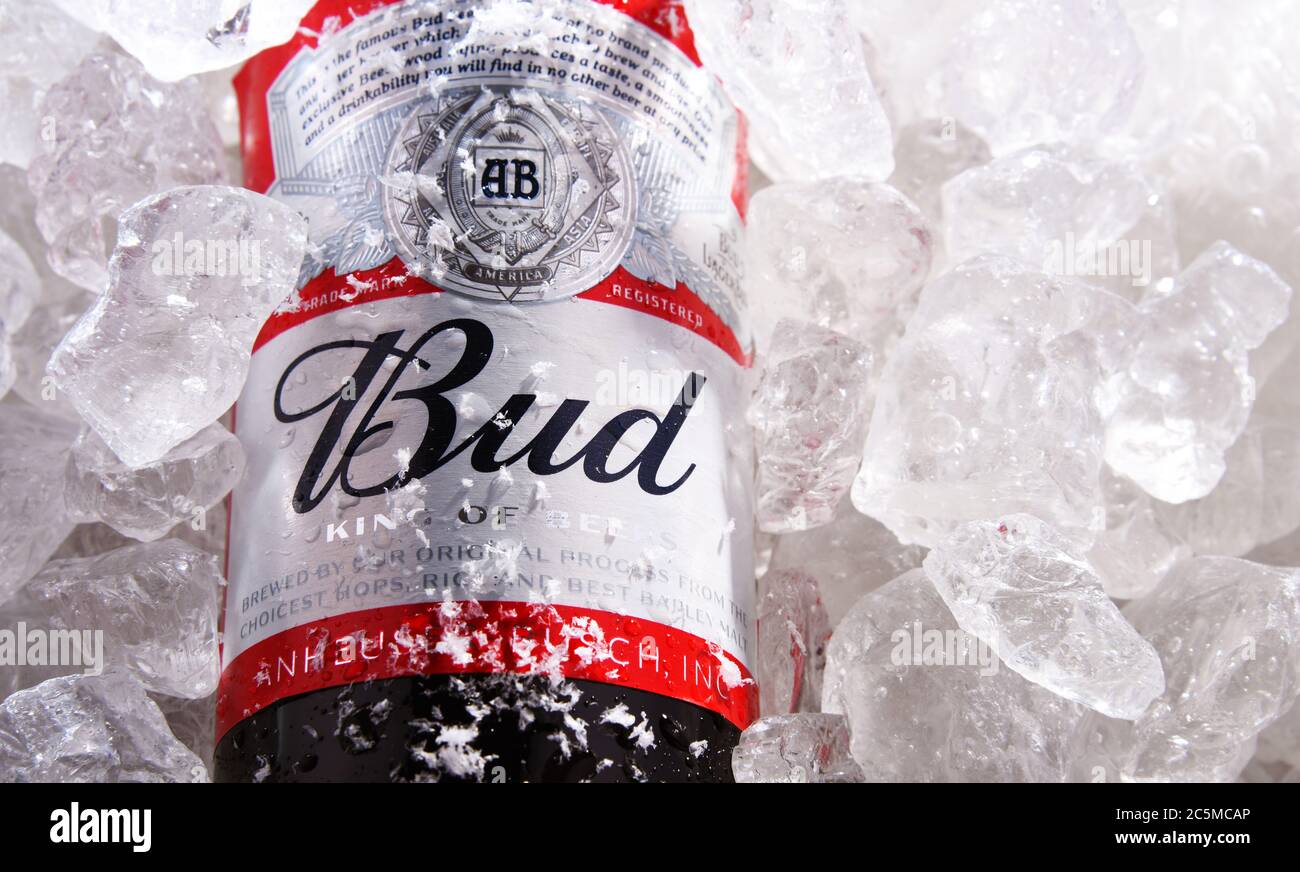 POZNAN, POL - 22 MAGGIO 2020: Bottiglia di birra Bud, una lager pallida di stile americano prodotta da Anheuser-Busch, introdotta a St. Louis, Missouri nel 1876. Foto Stock