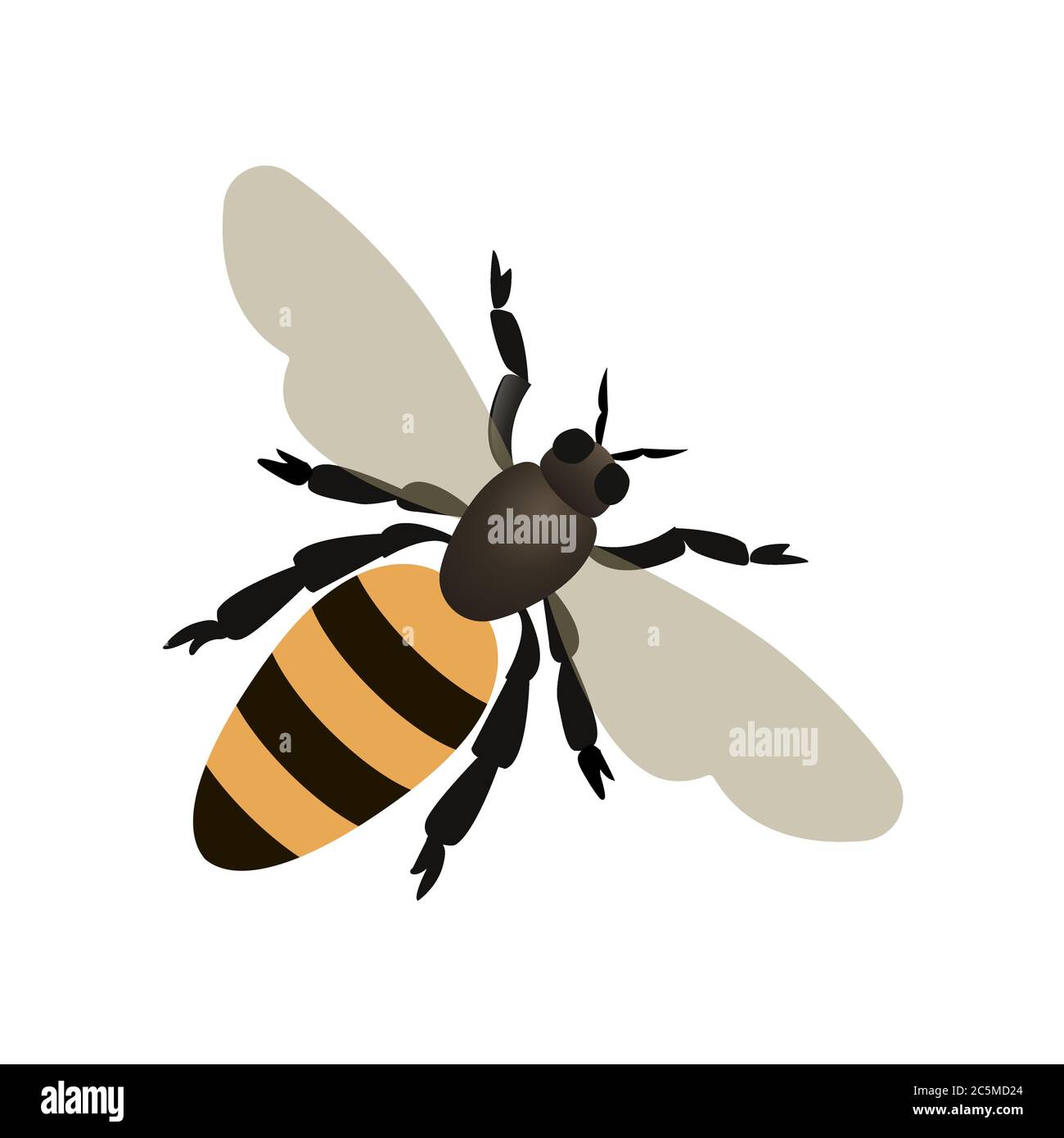 Ape, vespe su sfondo bianco. Illustrazione vettoriale in stile piatto alla moda. EPS 10. Illustrazione Vettoriale Ape, vespe su sfondo bianco. Illustrazione vettoriale in stile piatto alla moda. EPS 10. Illustrazione Vettoriale