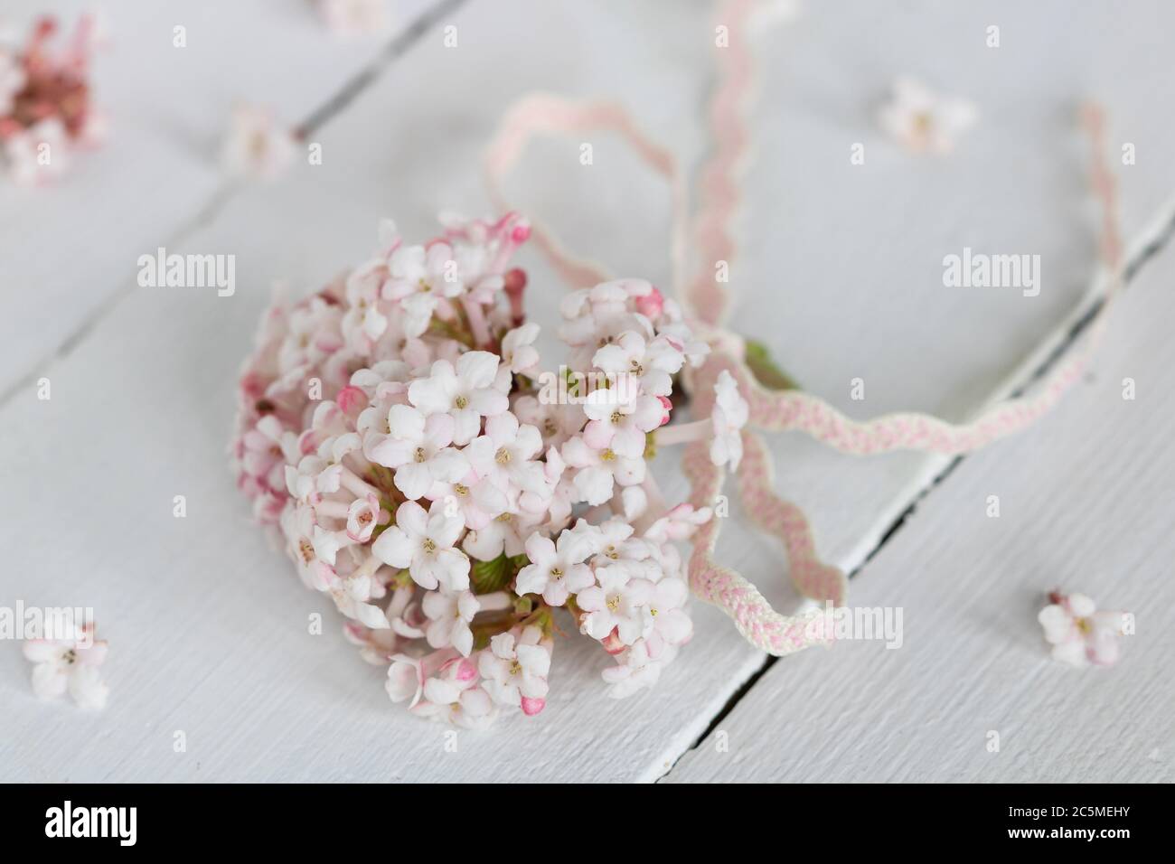 romantico bouquet di fiori di viburno in rosa Foto Stock