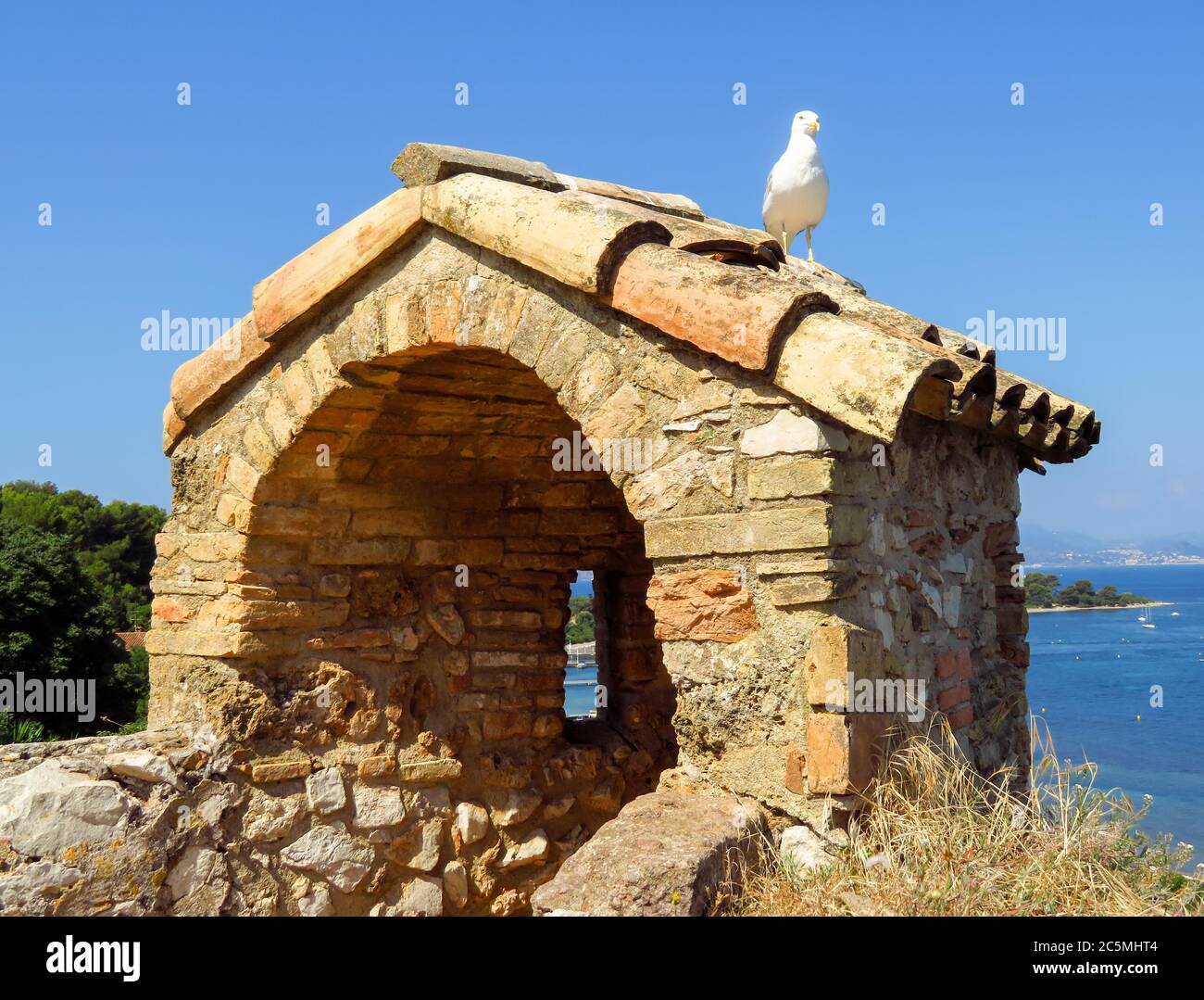 Forte Royal Sainte-Marguerite sull'isola, la più grande delle isole Lerins, a circa mezzo miglio di distanza dalla costa della città di Cannes Costa Azzurra. Foto Stock