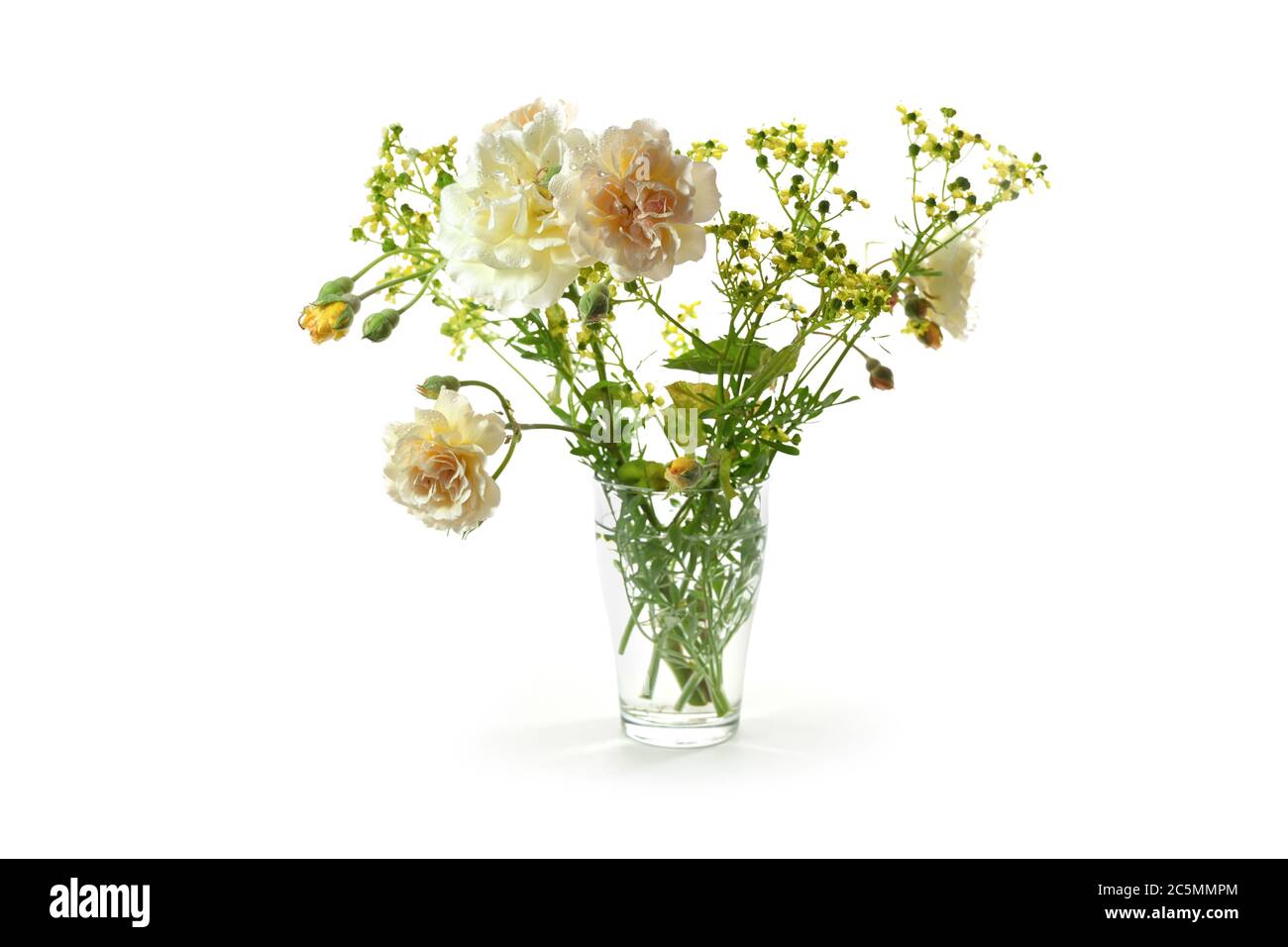 Bouquet di rose arancioni e di rue in vaso di vetro isolato con piccole ombre su uno sfondo bianco, fuoco selezionato Foto Stock