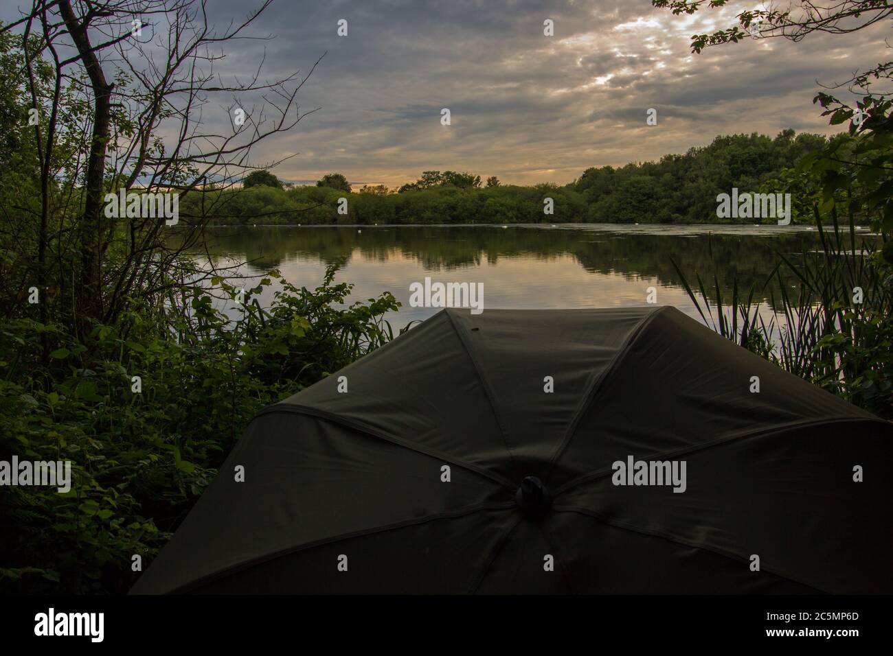 Pesca di carpe al tramonto su un grande lago Shropshire. Acqua calma e lussureggiante foresta verde Foto Stock
