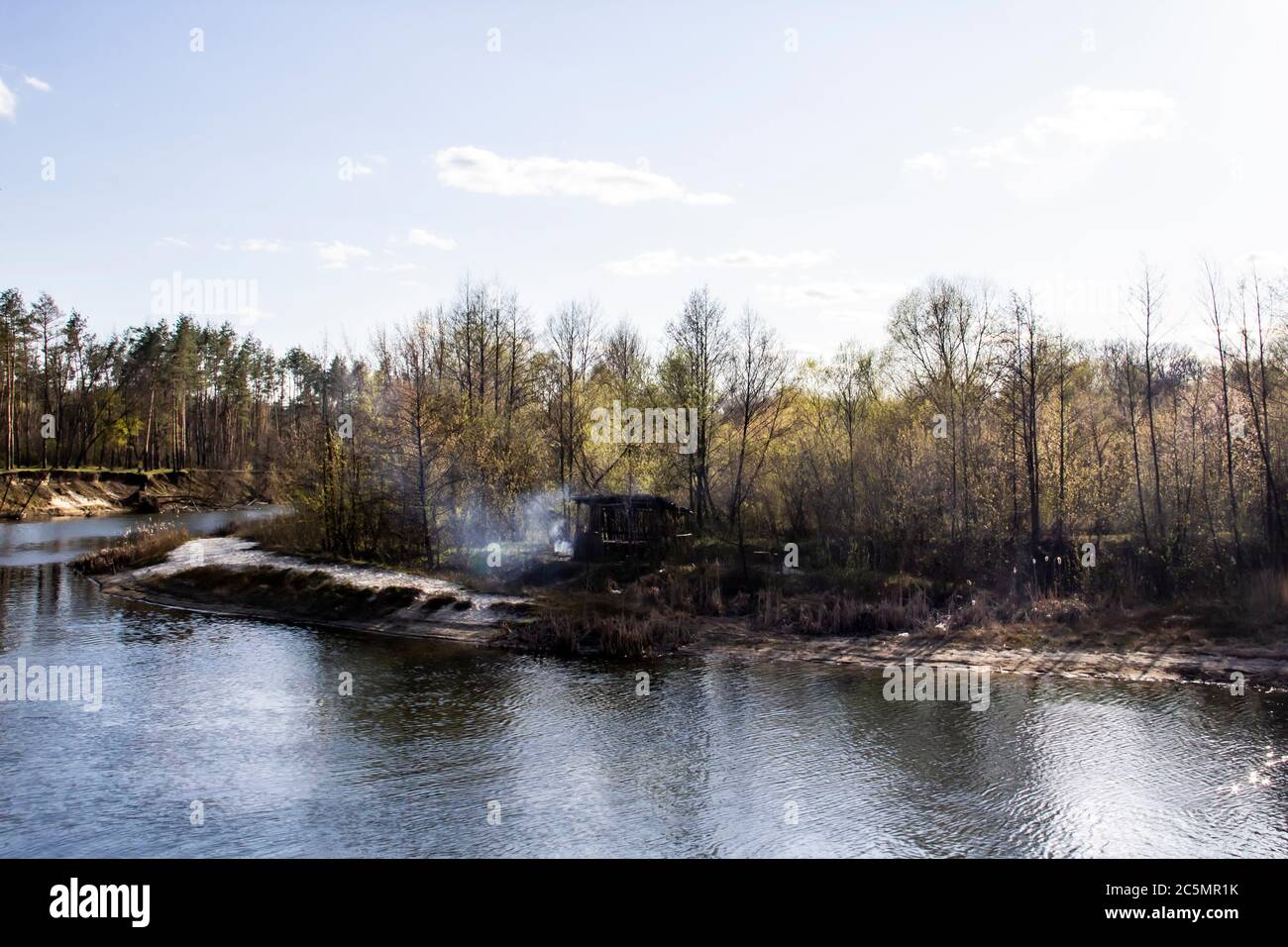 Paesaggio ucraino nella foresta. Pineta con un nome fiume Psel in città Sumy. Alberi di pino su una riva del fiume in Ucraina. Bel fiume chiamato Psel. Foto Stock
