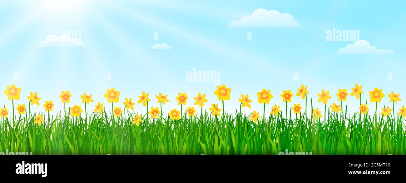 Paesaggio naturale primaverile con fiori, erba verde e cielo blu. Illustrazione vettoriale Illustrazione Vettoriale