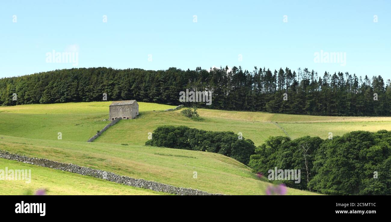 Una vista attraverso la campagna di Cumbria nel Parco Nazionale del Distretto dei Laghi Inglese nell'Inghilterra del Nord. La vista è vicino al villaggio di Dacre. Foto Stock