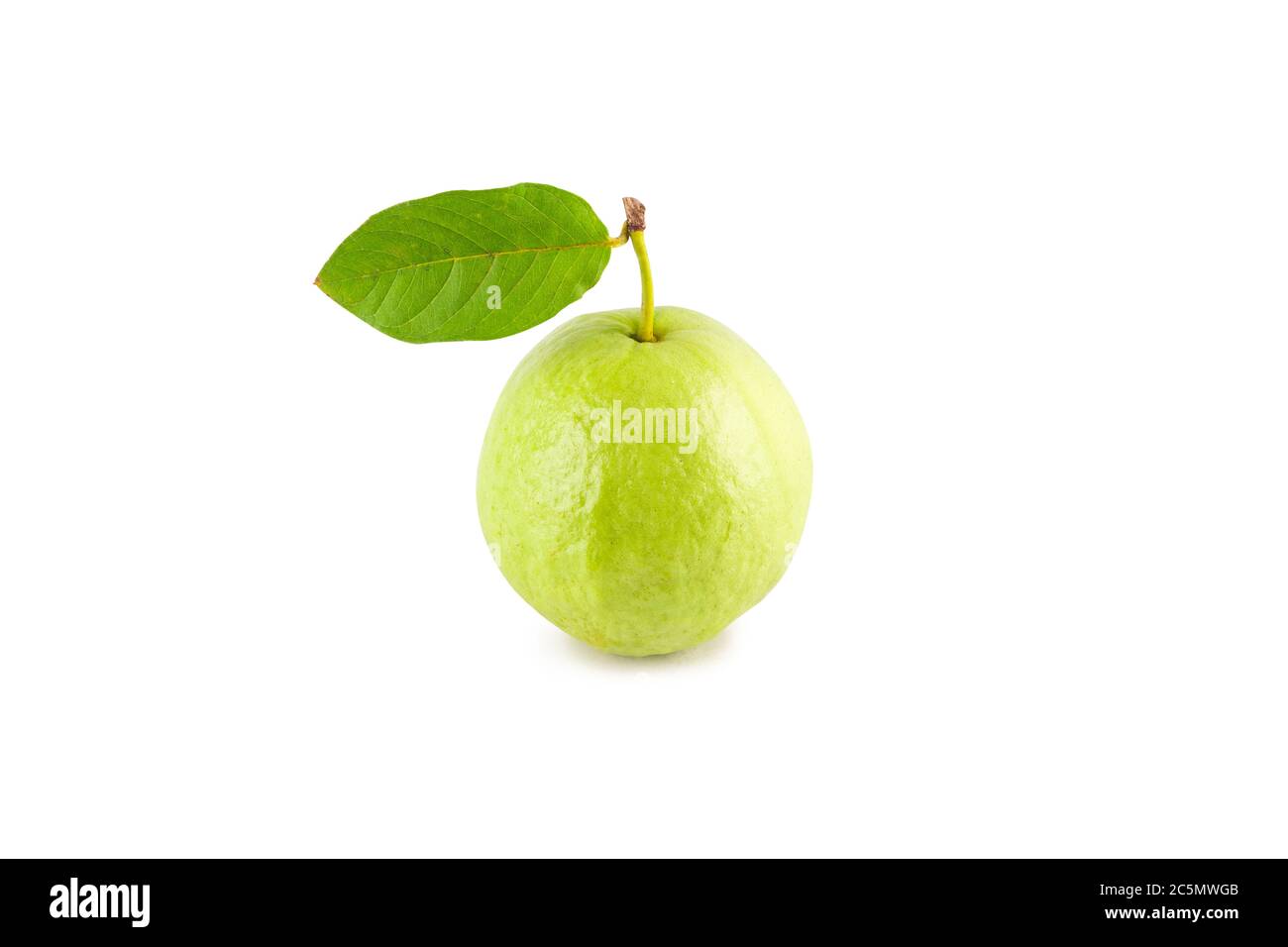 guava e foglia di guava su sfondo bianco frutta agricoltura cibo isolato Foto Stock
