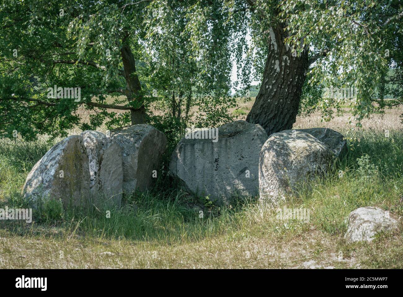 Le pietre preistoriche e i monumenti megaliti a Lancken Granitz, sull'isola del mar baltico Ruegen Foto Stock