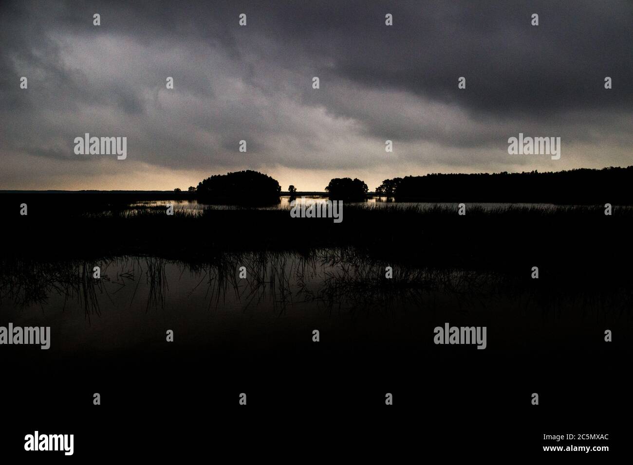 VIETNAM - NATURA NEL DELTA DEL MEKONG. Réserve ornithologique de Tram Chim. Il delta del Mekong è un vero tesoro di biodiversità. La fauna e la flora è Foto Stock