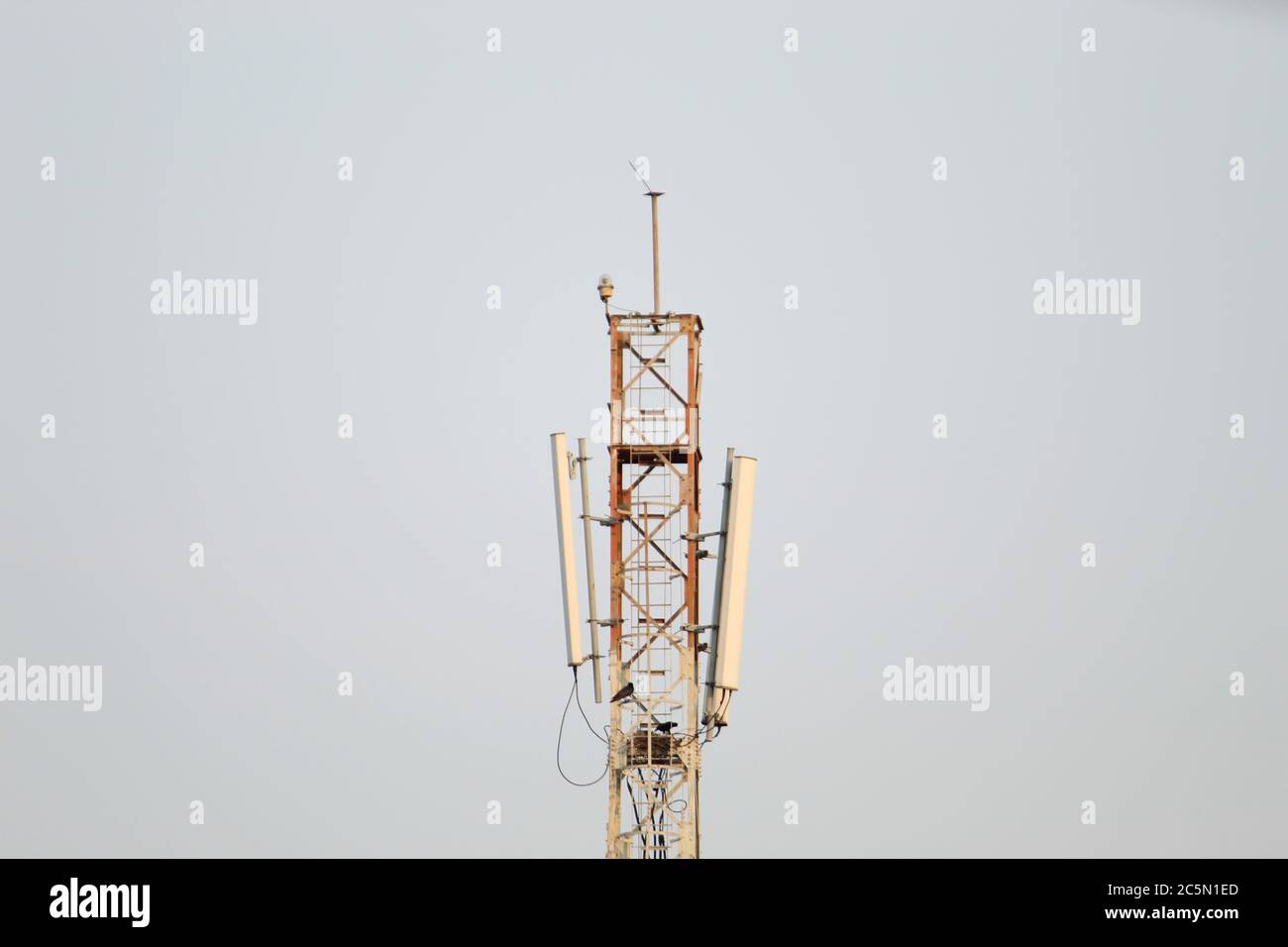 Visualizzazione parziale e ritagliata della torre di comunicazione mobile con messa a fuoco selettiva durante il giorno. Foto Stock