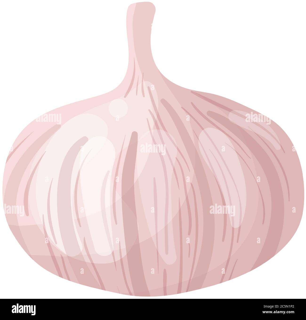 Aglio vettoriale su sfondo bianco. Illustrazione vettoriale. Illustrazione Vettoriale