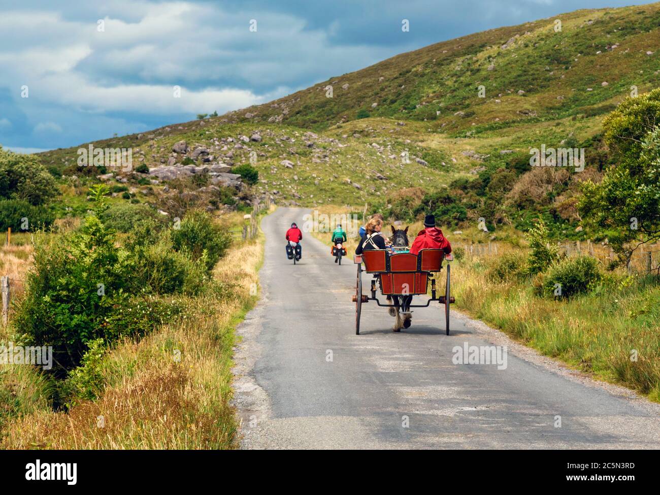 Contea di Kerry, Repubblica d'Irlanda. Eire. Giro in carrozza vicino al Gap of Dunloe sul Ring of Kerry. Foto Stock