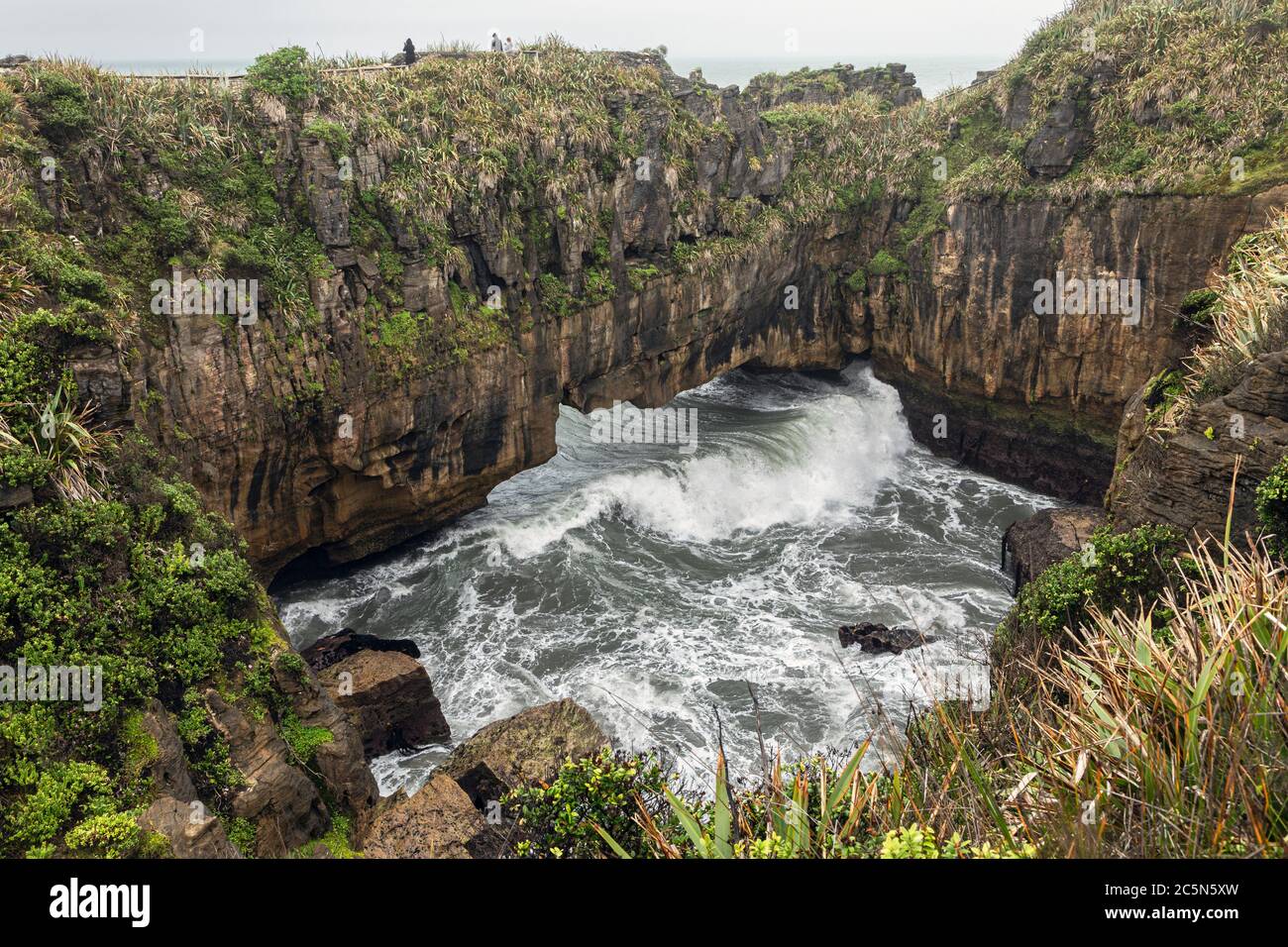 La piscina di Surge, Punakaiki Pancake Rocks, West Coast, South Island, Nuova Zelanda Foto Stock