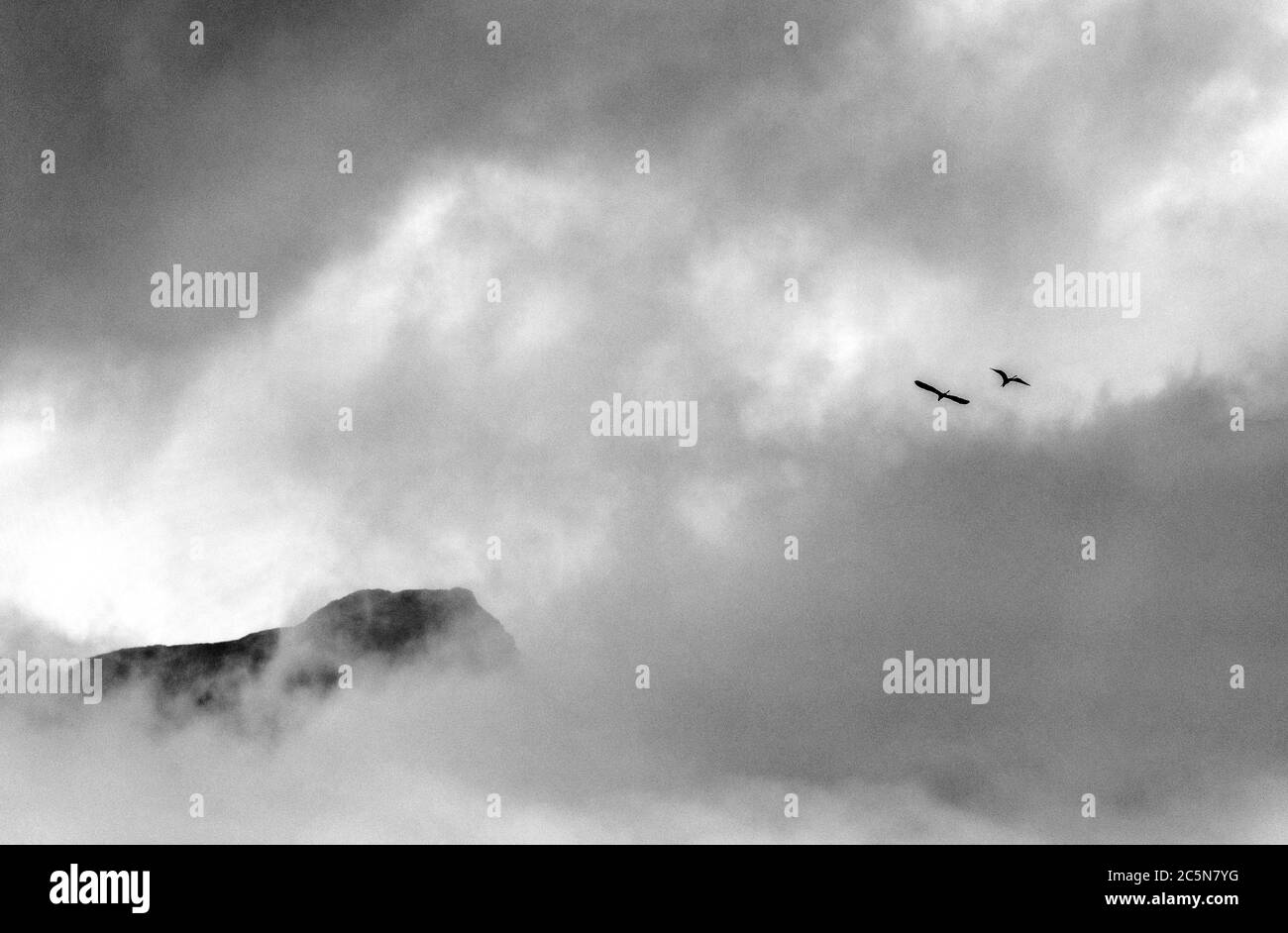 Giornata piovosa a Salzkammergut, Austria Foto Stock