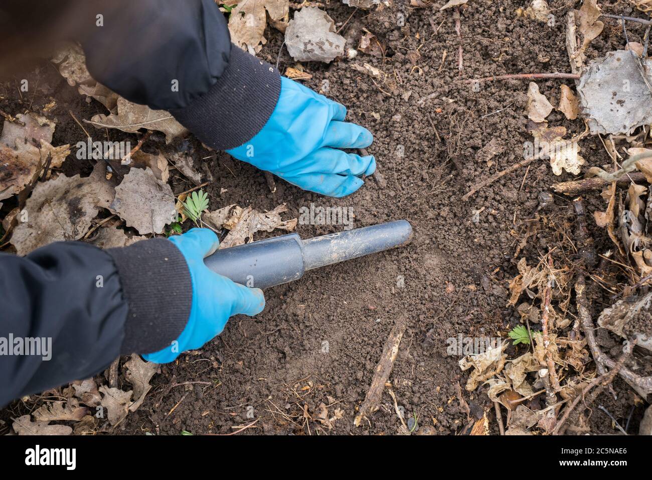 pinpointer metal detector in mano archeologa digger e antica moneta. Foto Stock