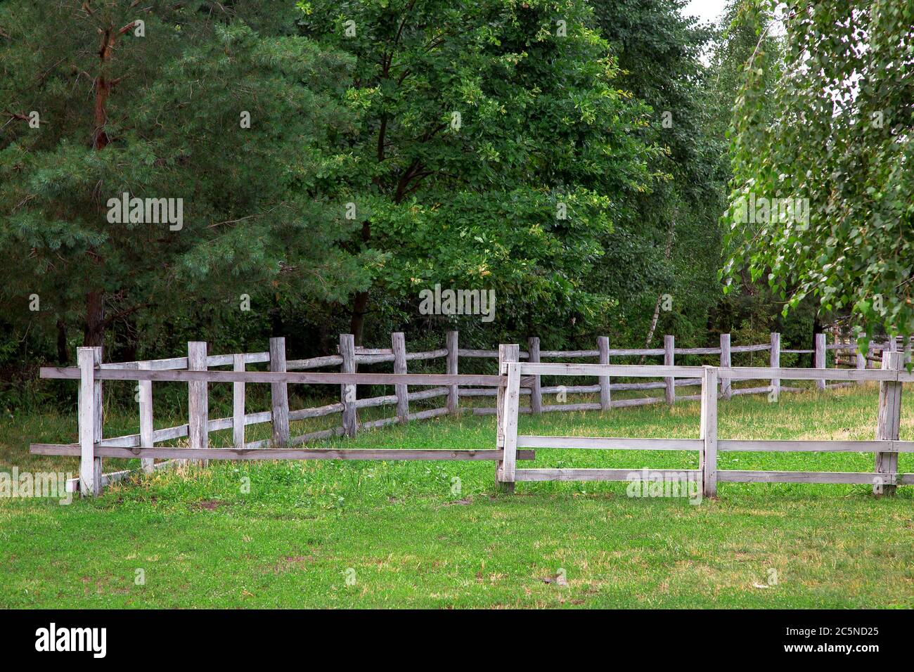 corral nella foresta con erba verde recintata da una recinzione di legno senza animali. Foto Stock