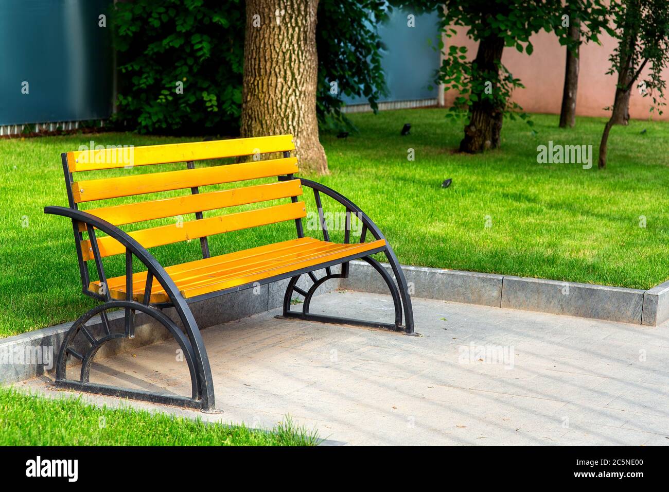 Panca di legno con gambe di ferro nel parco con un prato verde e alberi, nessuno. Foto Stock