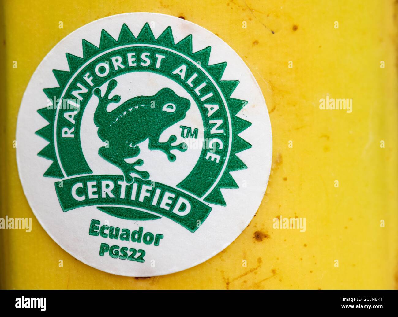 Adesivo certificato Rainforest Alliance sulla banana Foto Stock