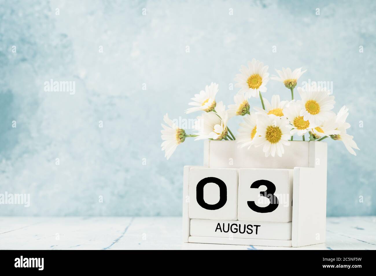 Calendario cubo bianco per agosto decorato con fiori margherita su tavolo su blu con spazio copia Foto Stock