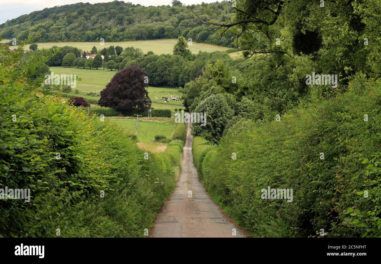 Un paesaggio rurale inglese nelle colline Chiltern con corsia tra alte siepi Foto Stock