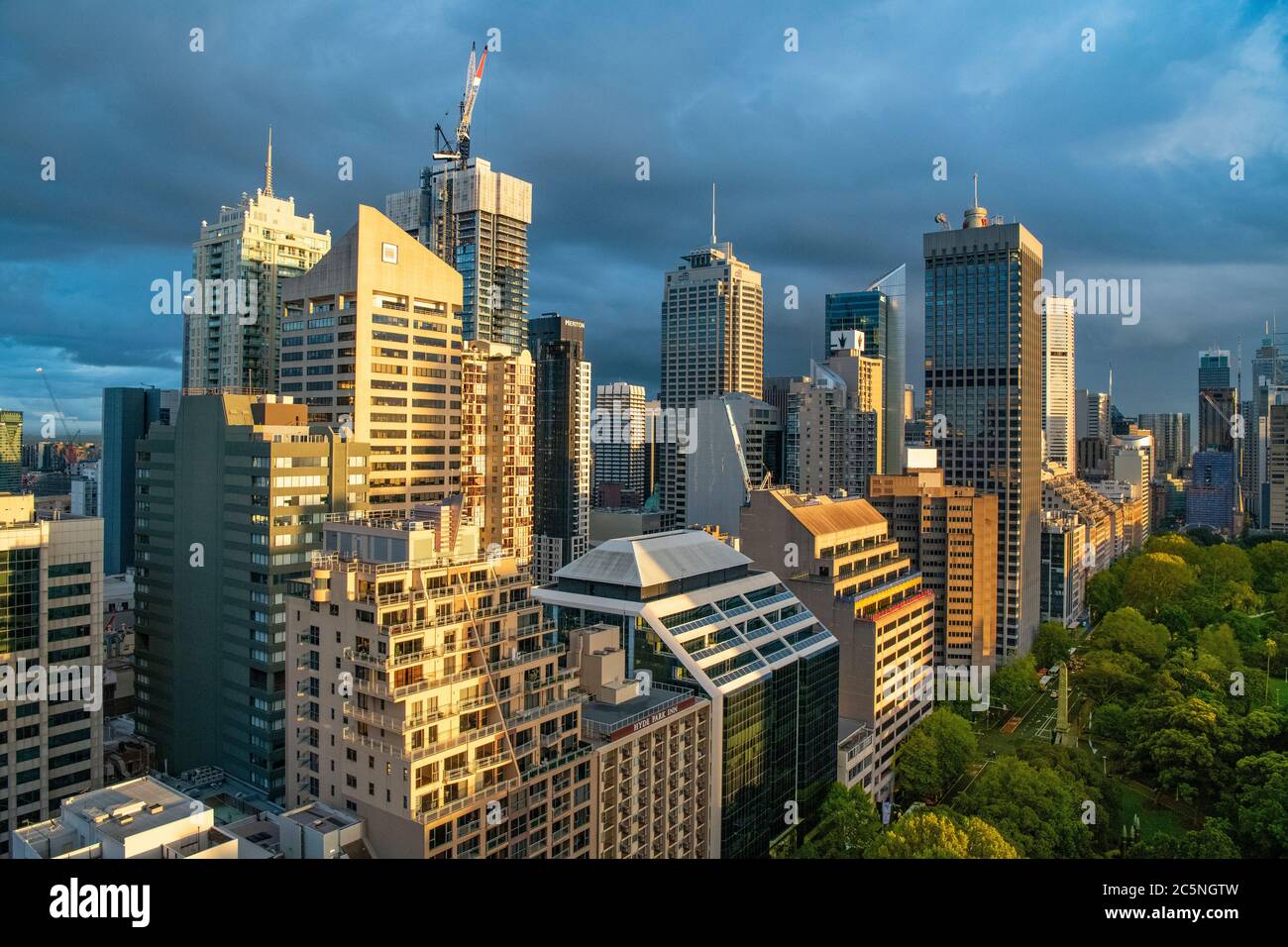 Edifici alti Elizabeth Street al semaforo di Sydney Australia nel tardo pomeriggio Foto Stock