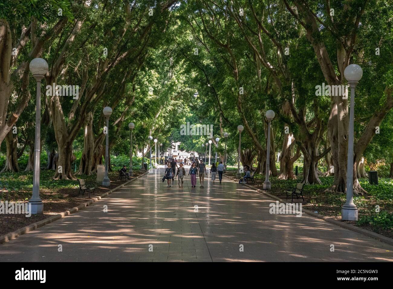 Passaggio pedonale centrale Hyde Park Sydney Australia Foto Stock