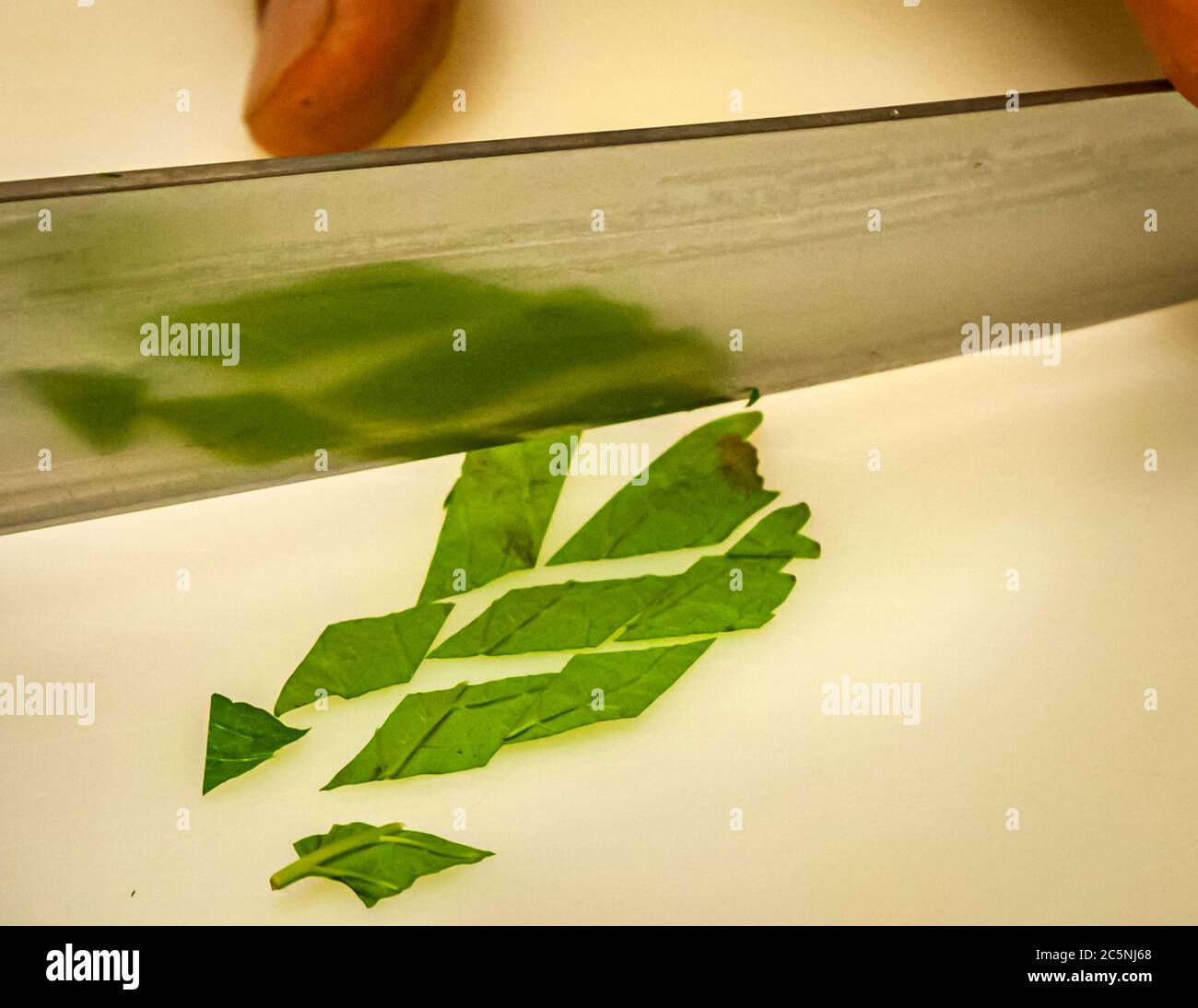 Un coltello taglia una foglia di erba verde – forse acetosa o basilico – in strisce sottili (chiffonade) nella cucina del castello di Wernberg, Wernberg-Köblitz, Alta Palatinato, Germania. Foto Stock