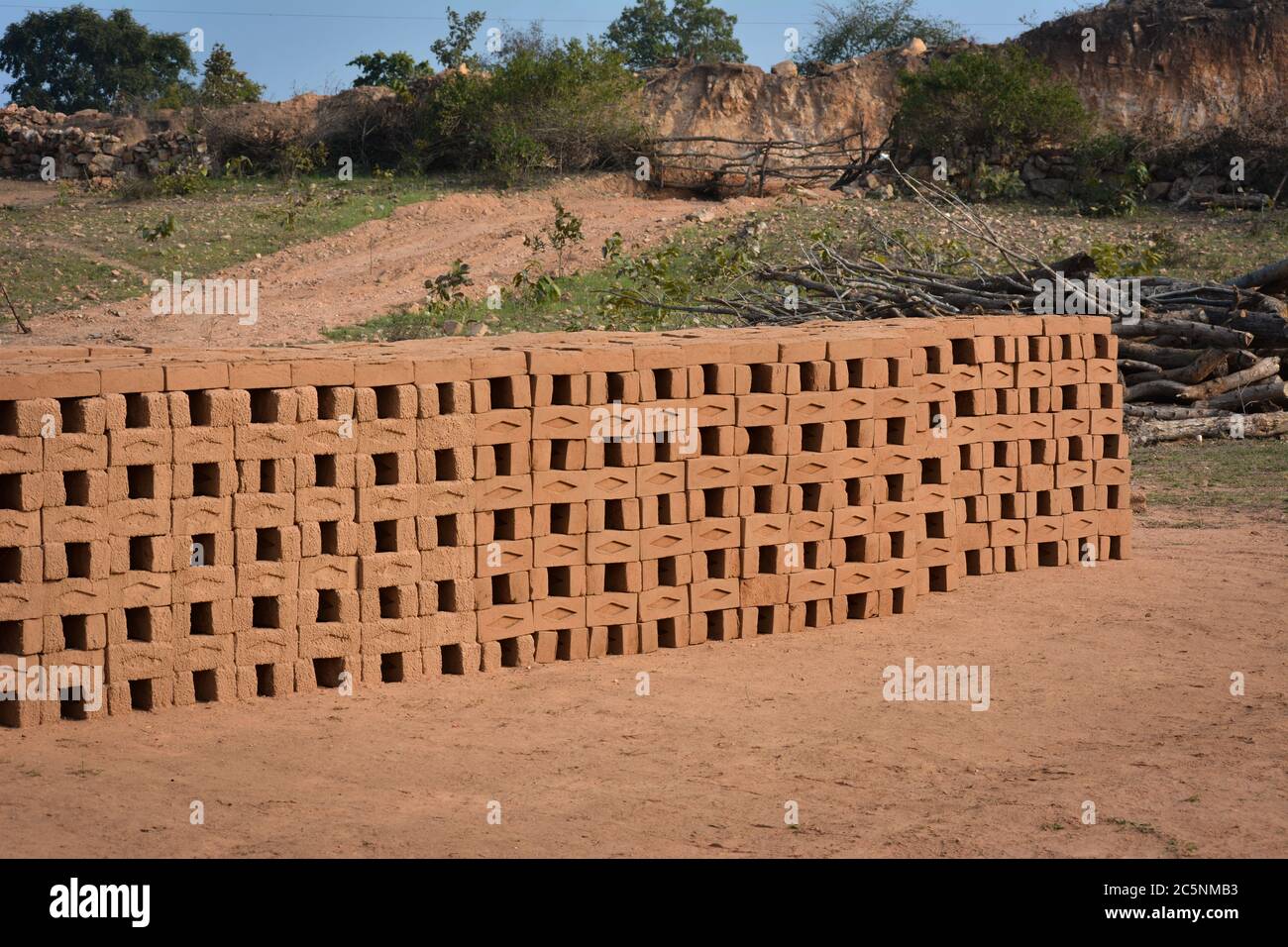 Mattone grezzo disposto fuori in pile per asciugare. Mattoni in una fabbrica di mattoni. Produzione tradizionale di mattoni di argilla in India. Foto Stock