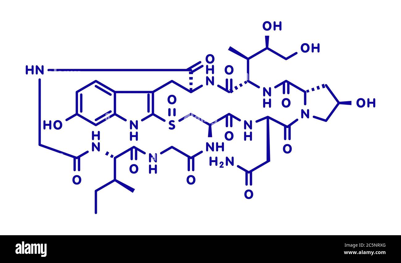 Alfa-amanitin morte cappuccio molecola di tossina. Presente in molti funghi Amanita. Formula di scheletro. Foto Stock