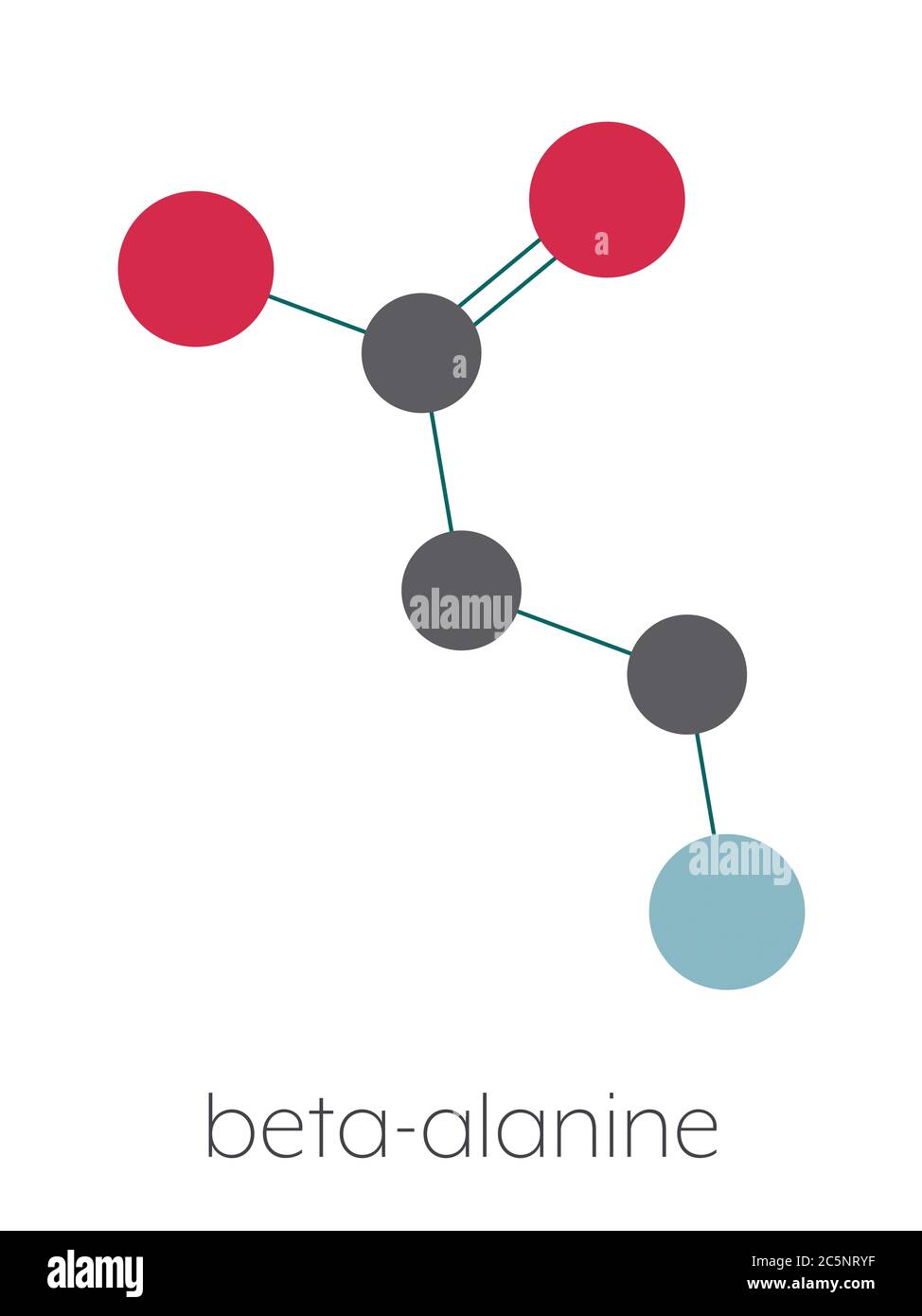 Molecola di beta-alanina. Beta aminoacido presente in natura. Precursore della carnosina. Gli atleti usano spesso integratori di beta-alanina. Formula scheletrica stilizzata (struttura chimica): Gli atomi sono indicati come cerchi codificati per colore: Idrogeno (nascosto), carbonio (grigio), azoto (blu), ossigeno (rosso). Foto Stock