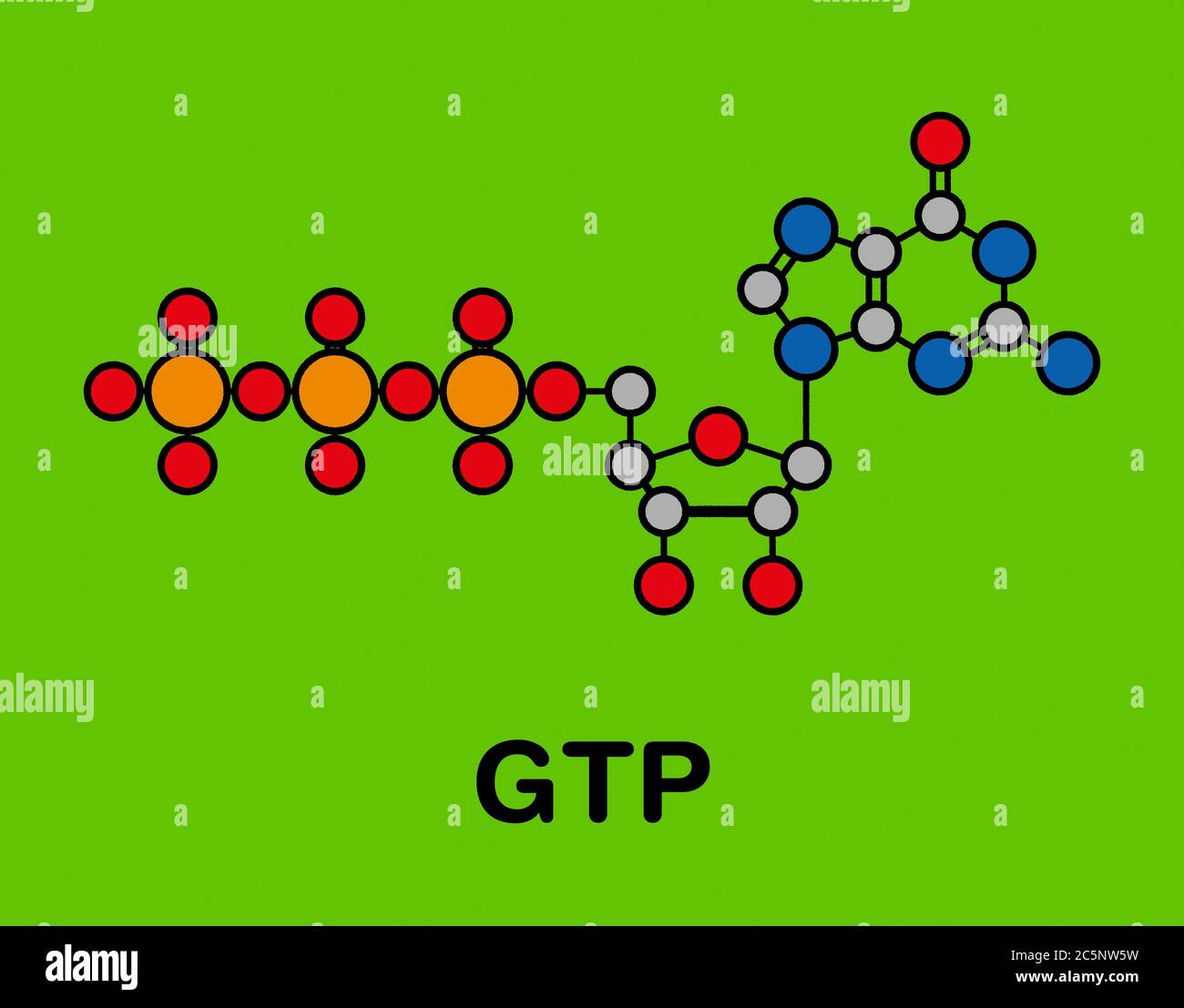 Molecola di blocco di costruzione di RNA guanosina trifosfato (GTP). Usato anche come molecola di trasporto di energia e nella trasduzione del segnale. Formula scheletrica stilizzata (struttura chimica): Gli atomi sono indicati come cerchi codificati per colore: Idrogeno (nascosto), carbonio (grigio), azoto (blu), ossigeno (rosso), fosforo (arancione). Foto Stock
