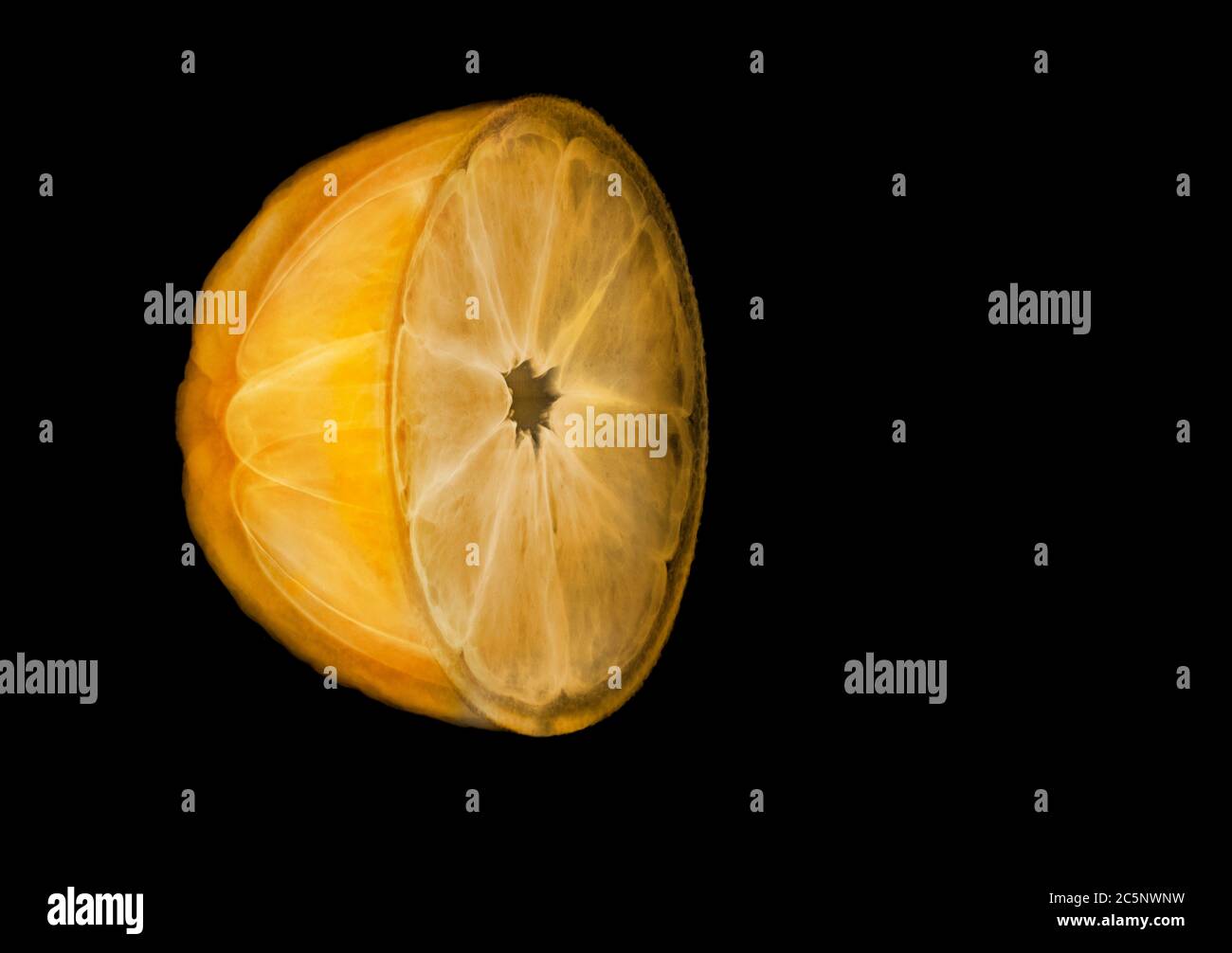 Metà arancione con segmenti, raggi X colorati. Foto Stock