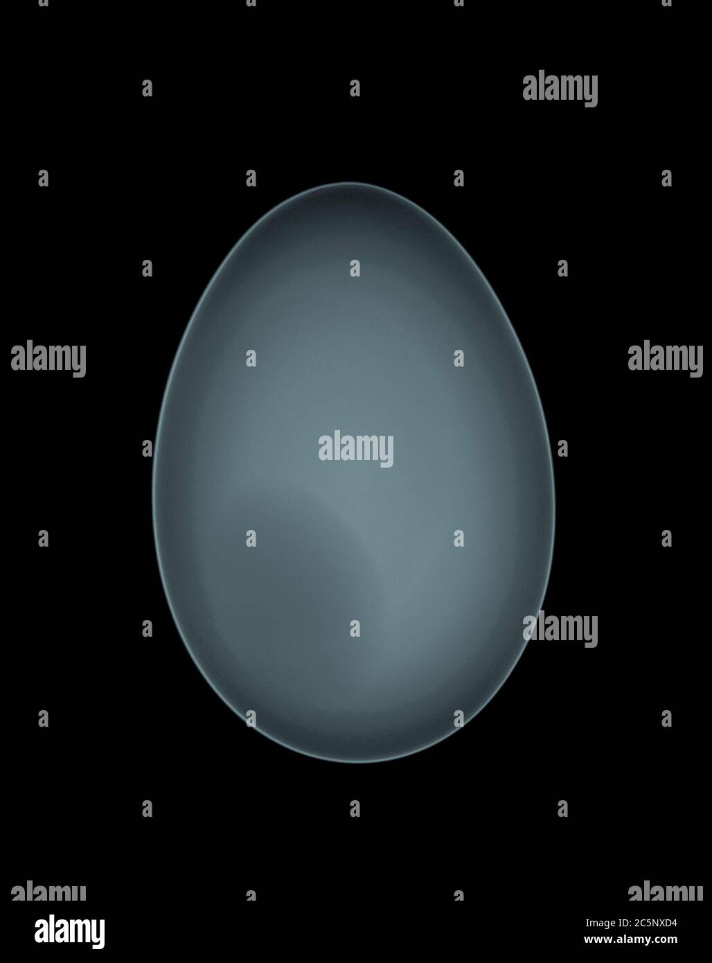 Uovo d'anatra, raggi X colorati. Foto Stock