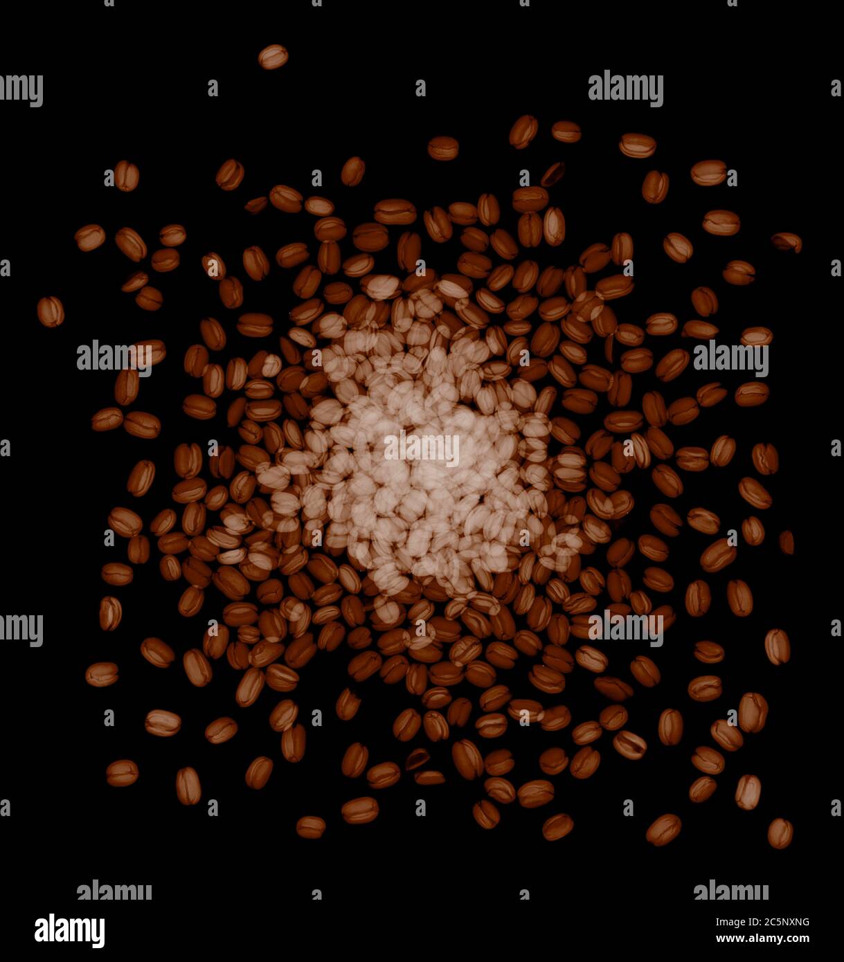 Chicchi di caffè (Coffea canephora), raggi X. Foto Stock