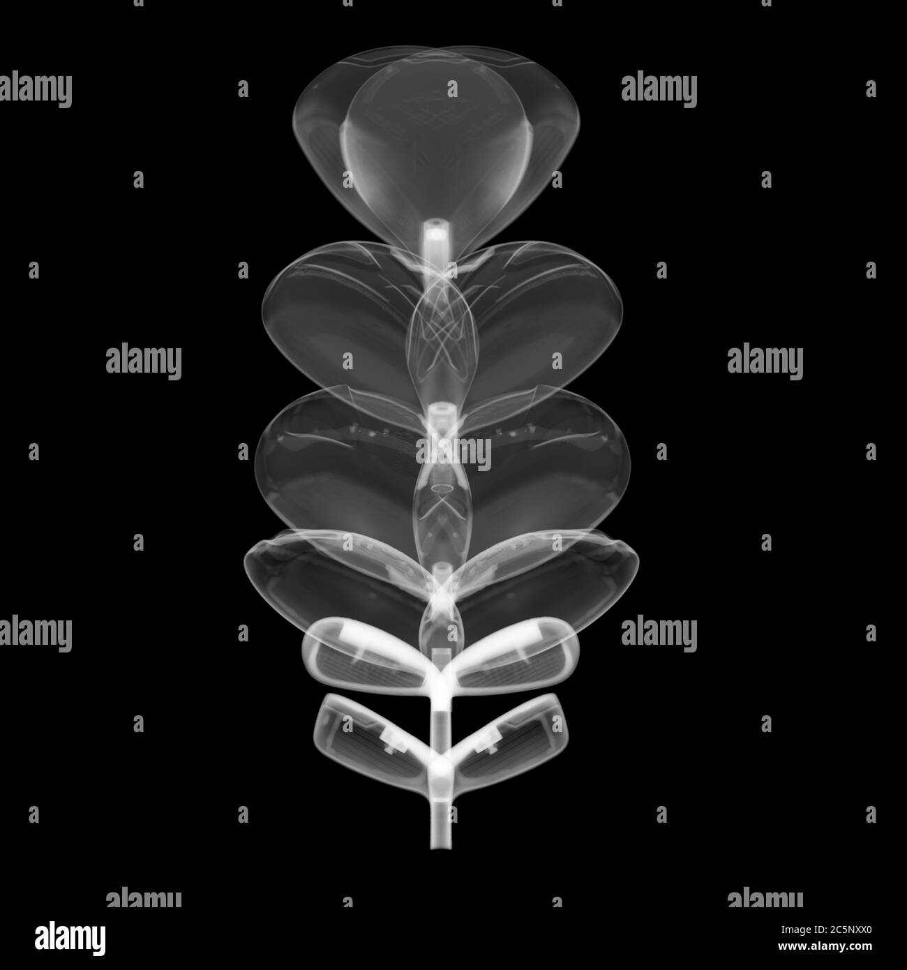 Teste di golf club, raggi X. Foto Stock