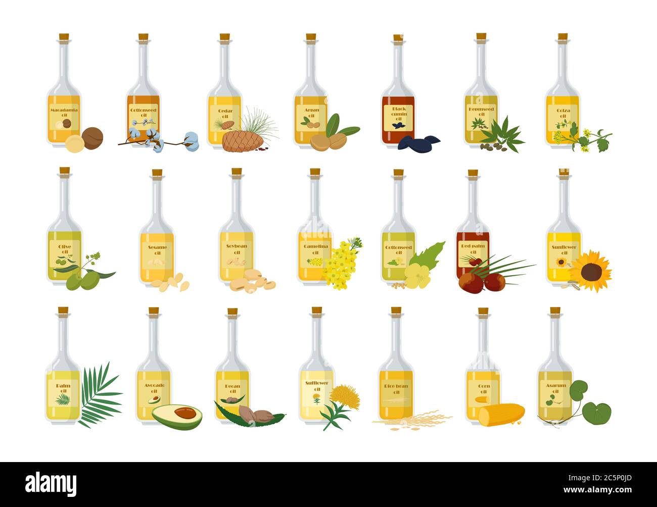 Bottiglie in vetro con set di olio. Contenitore elegante con oli naturali mandorle profumate all'avocado sano. Illustrazione Vettoriale