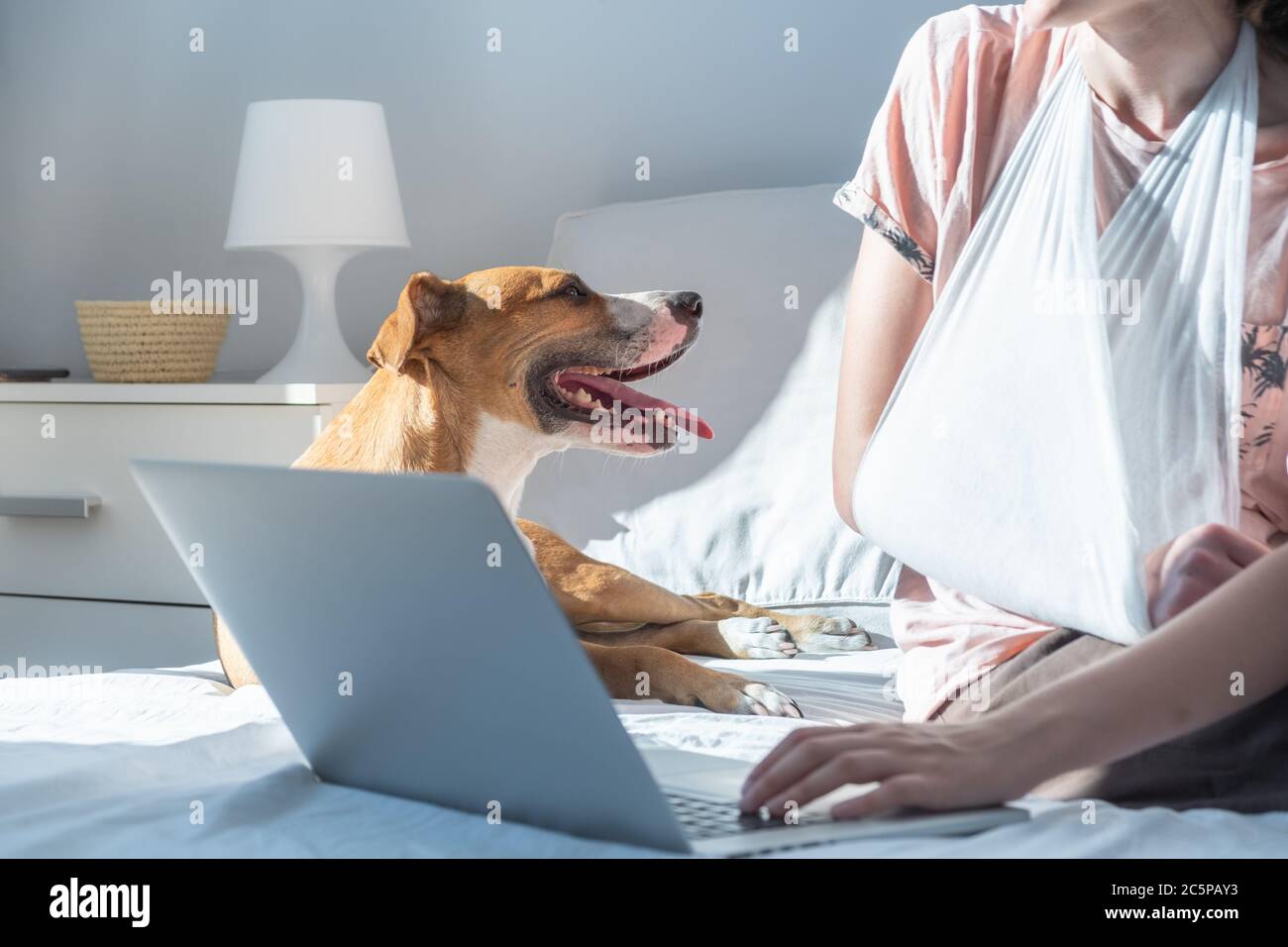 Donna con braccio ferito usa il laptop a letto accanto al suo cane. Giovane donna in luminosa camera da letto con luce solare e animali domestici, concetto di lavoro remoto o ufficio domestico Foto Stock