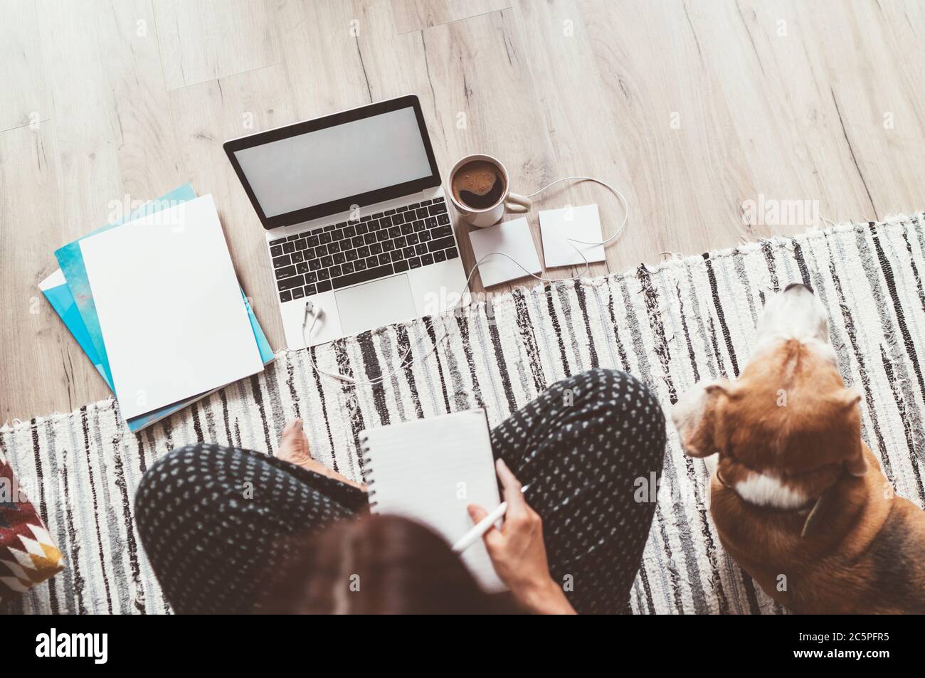 Donna d'affari vestita in pigiama scrittura e godendo il caffè del mattino sul pavimento ufficio con cane beagle con computer portatile, carte. Giornalista a distanza o w Foto Stock