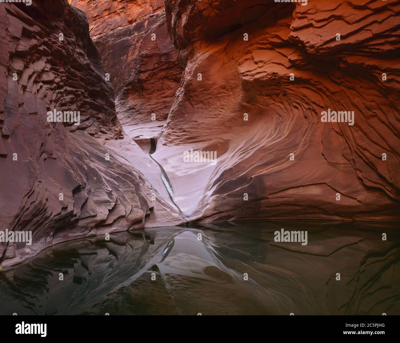 Grand Canyon Nat'l Park AZ/MAY A presto essere secca insenatura dipinge un argento scivola su una piscina di abisso di pietra arenaria Kaibab con croce nel North Canyon Foto Stock