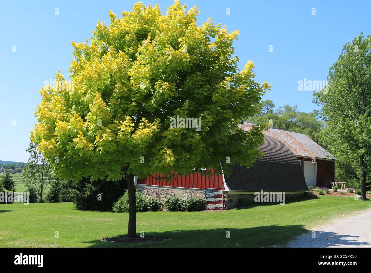 un albero in un campo verde con fienile fattoria e nuvoloso sole Foto Stock