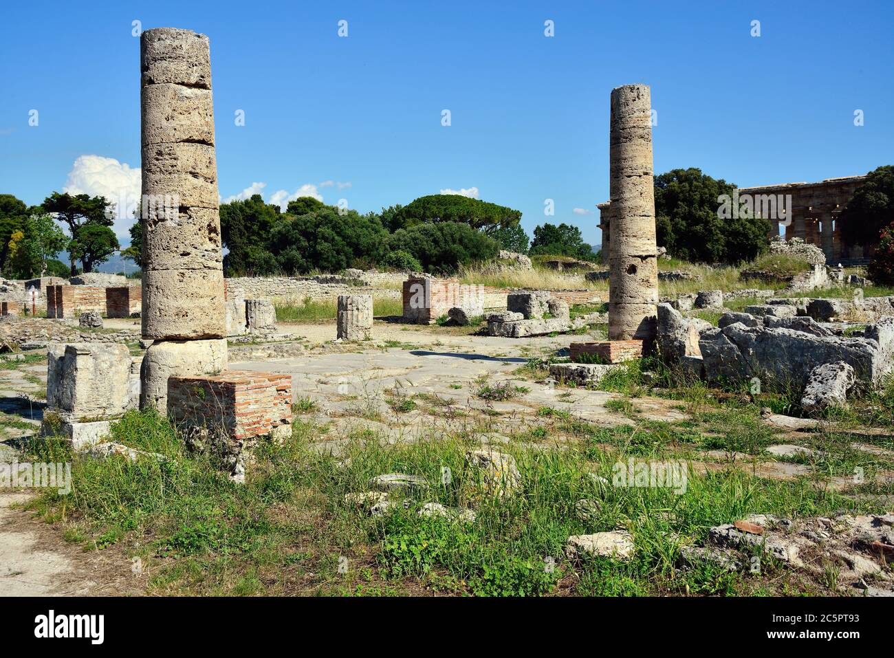 Parco Nazionale del Cilento, Campania, Italia. Poseidonia (nome romano Paestum) sito archeologico greco e romano. Era una grande città greca antica sulla costa del Mar Tirreno nella Magna Grecia. Il Foro nella zona romana. Foto Stock