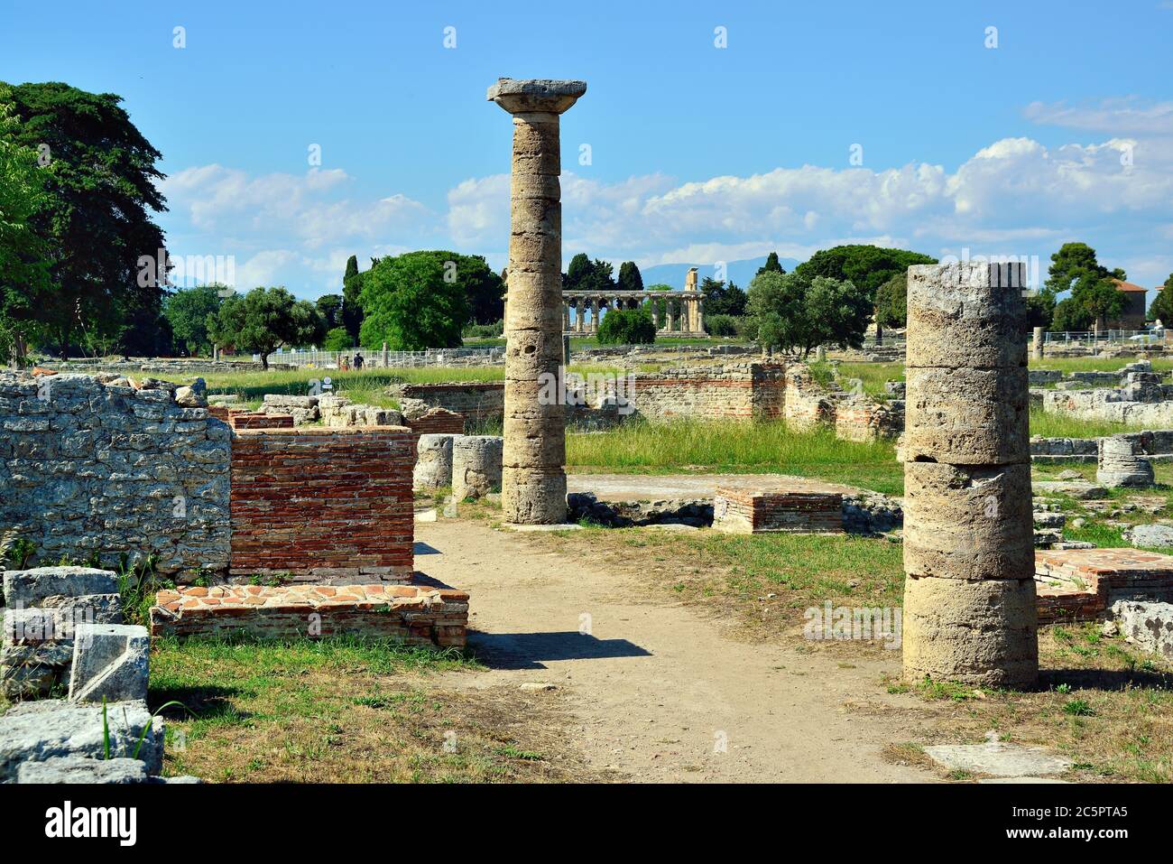 Parco Nazionale del Cilento, Campania, Italia. Poseidonia (nome romano Paestum) sito archeologico greco e romano. Era una grande città greca antica sulla costa del Mar Tirreno nella Magna Grecia. Il Foro nella zona romana. Foto Stock
