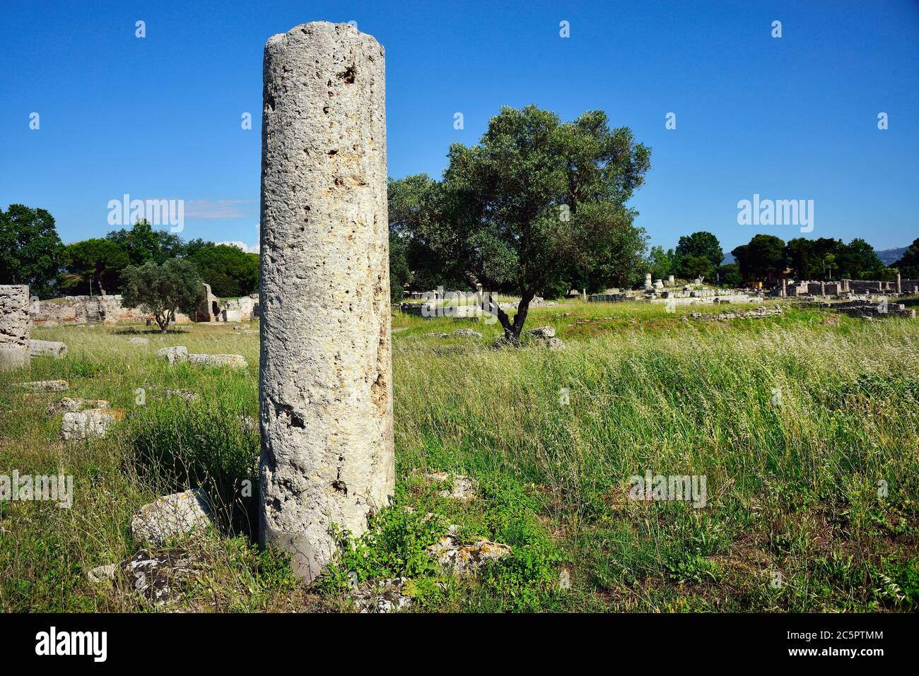 Parco Nazionale del Cilento, Campania, Italia. Poseidonia (nome romano Paestum) sito archeologico greco e romano. Era una grande città greca antica sulla costa del Mar Tirreno nella Magna Grecia. Il Foro nella zona romana. Foto Stock