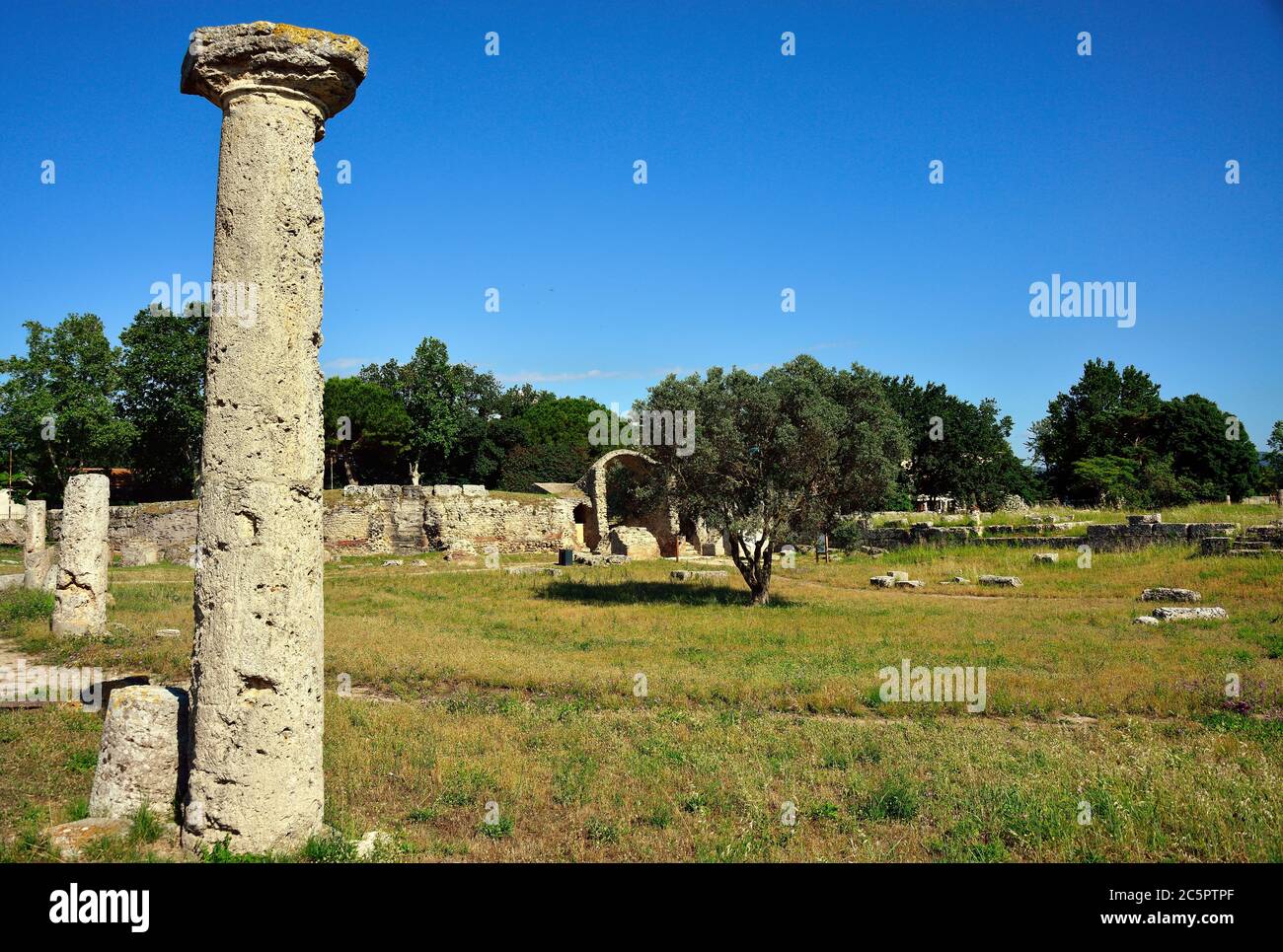 Parco Nazionale del Cilento, Campania, Italia. Poseidonia (nome romano Paestum) sito archeologico greco e romano. Era una grande città greca antica sulla costa del Mar Tirreno nella Magna Grecia. Il Foro nella zona romana. Foto Stock