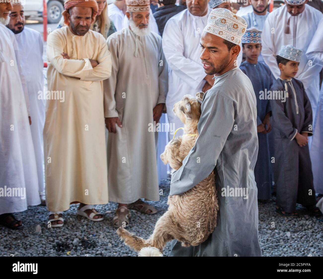 Nizwa, Oman, 2 dicembre 2016: Venditori di capra al mercato della capra di venerdì a Nizwa, Oman Foto Stock