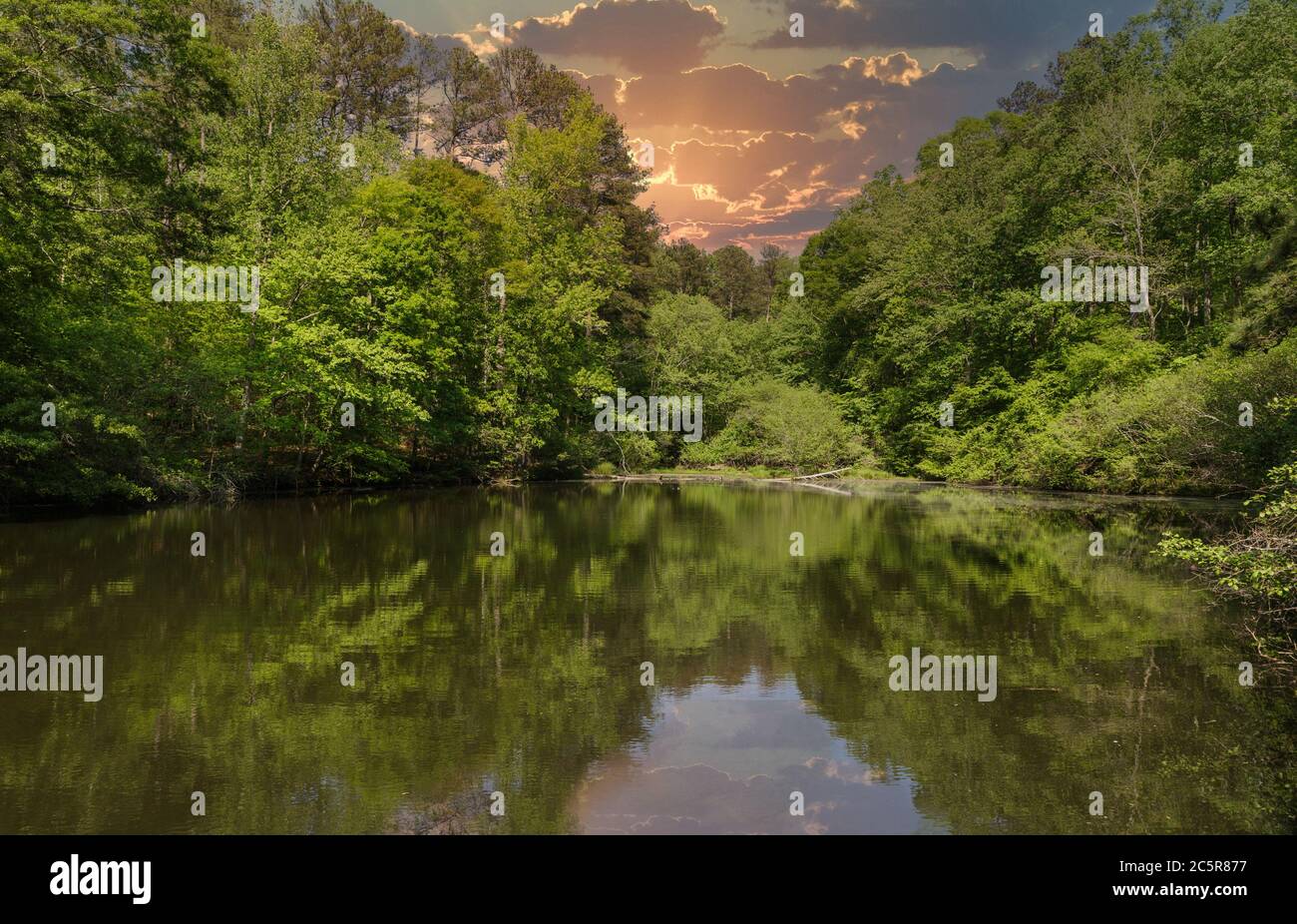 Lago calma in Green Forest sotto Sunset Sky Foto Stock
