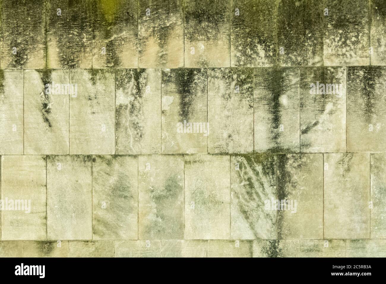 Grunge parete di blocco di scorie con macchie da stampo verde. Foto Stock
