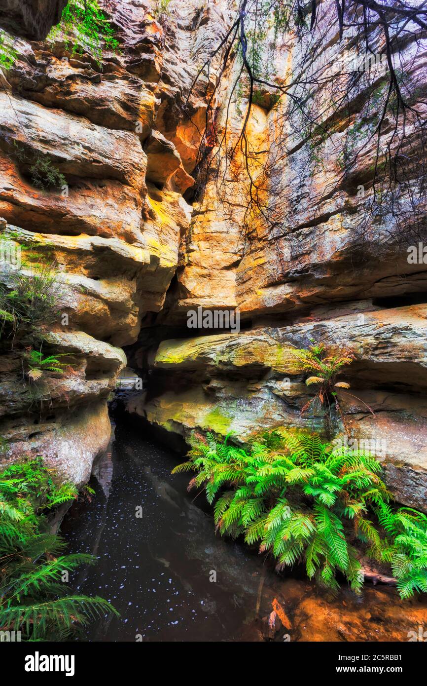 Il buco d'acqua di Billabog si trova all'interno delle grotte di roccia arenaria del parco nazionale delle Blue Mountains. Foto Stock
