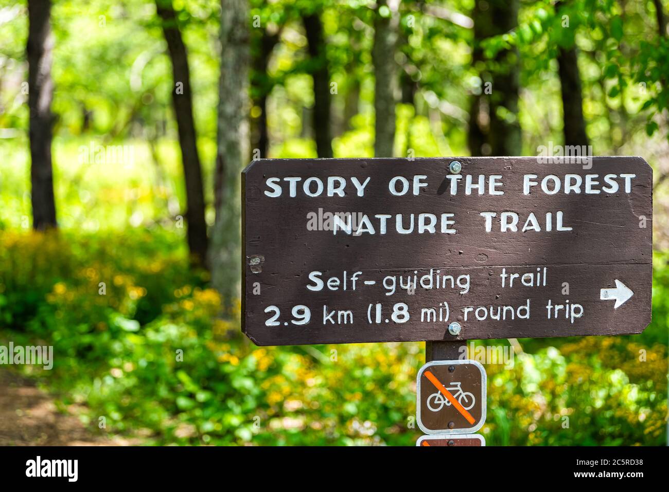 Strada con cartello di direzione Closeup in Shenandoah Blue Ridge appalachian montagne sullo skyline guidare per la storia della natura della foresta Foto Stock