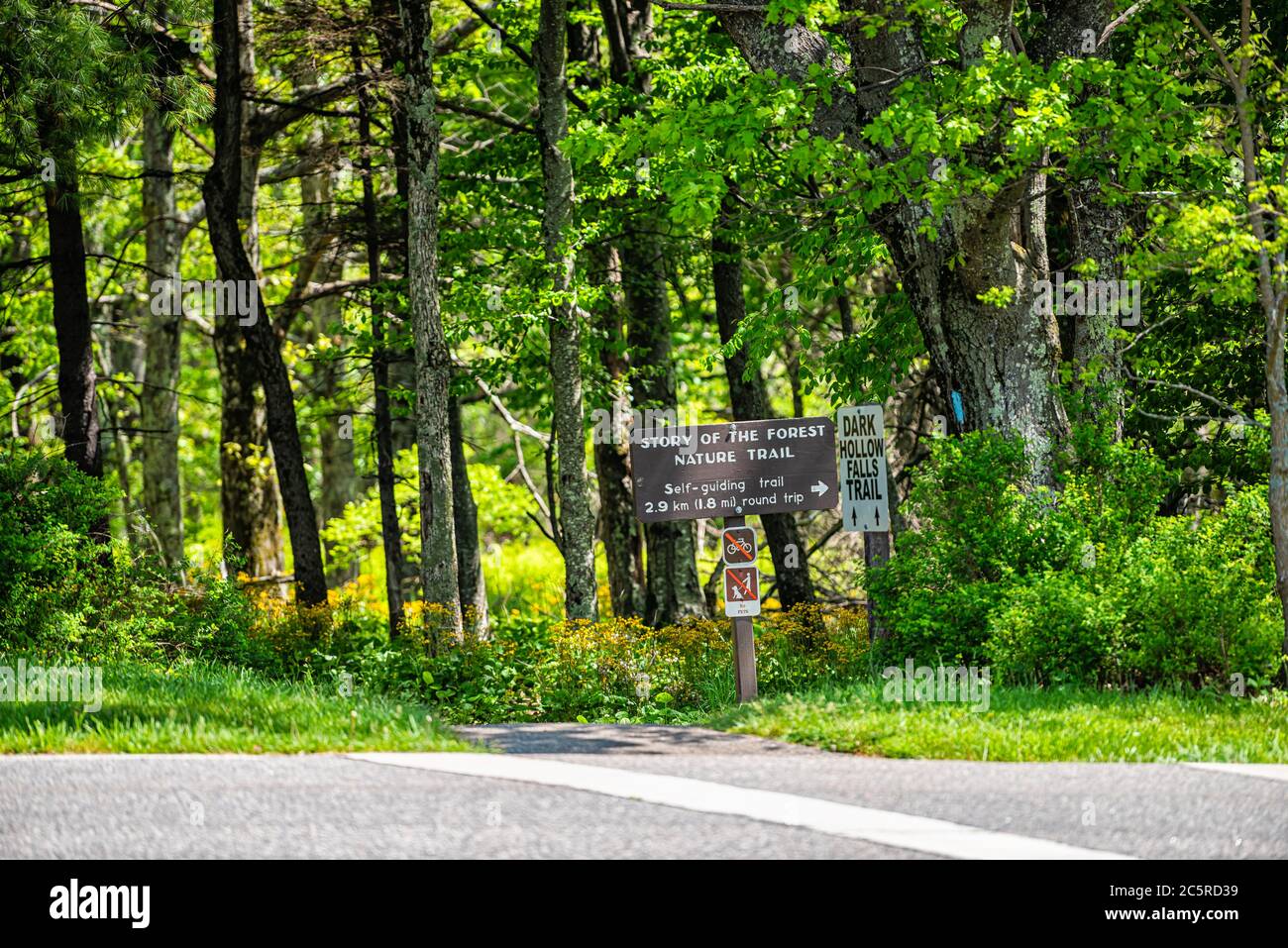 Strada con cartello di direzione in Shenandoah Blue Ridge appalachian montagne sullo skyline guidare per Dark Hollow Falls sentiero e storia della natura della foresta Foto Stock
